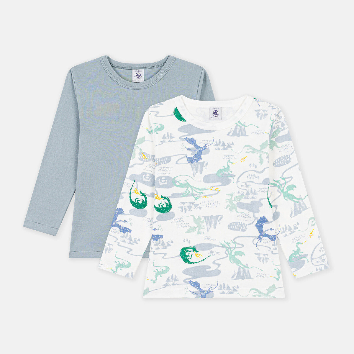 Confezione da 2 T-shirt maniche lunghe fantasia + blu, PETIT BATEAU