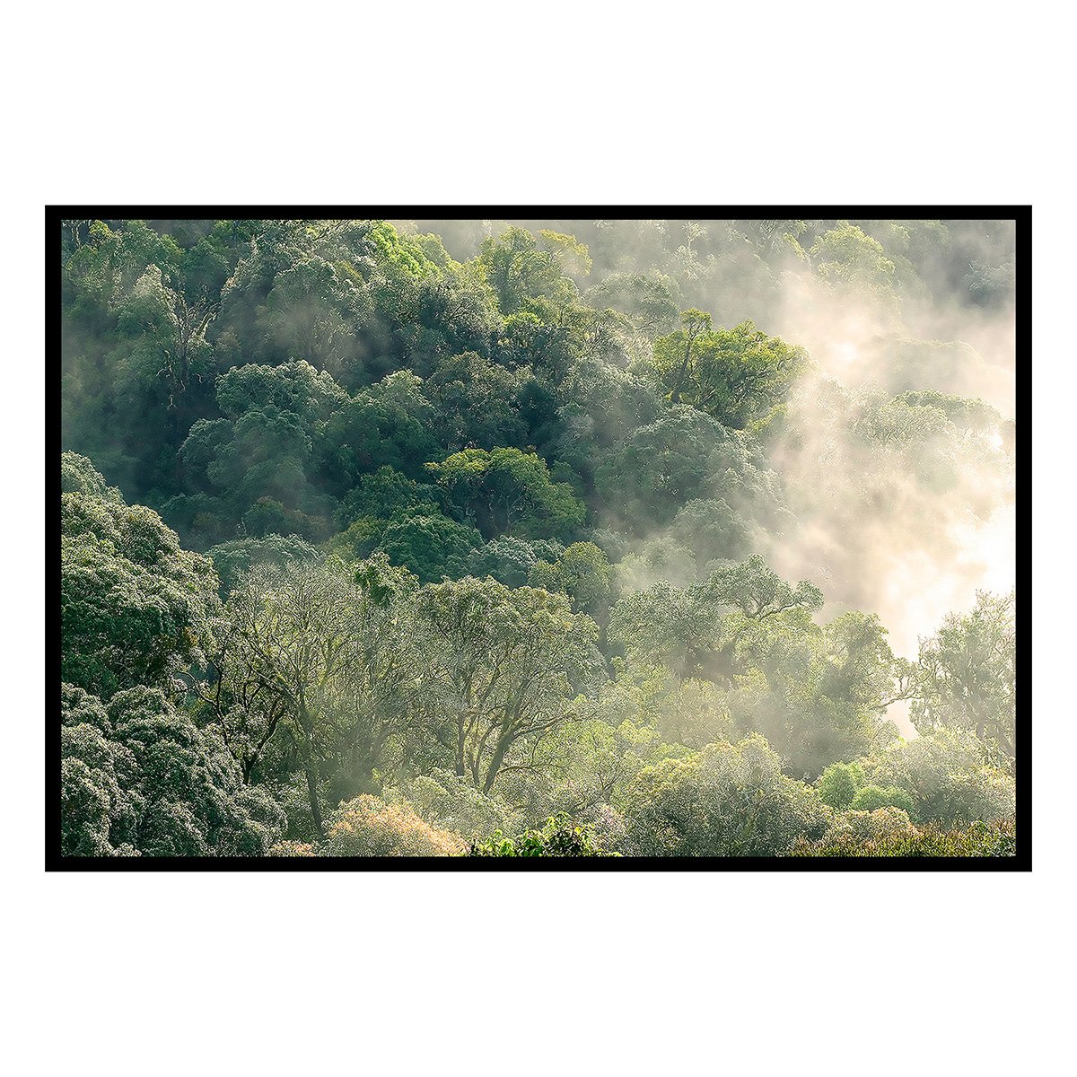 Affiche encadrée forêt brumeuse et lumière douce affiche + cadre en métal - noir, HEXOA