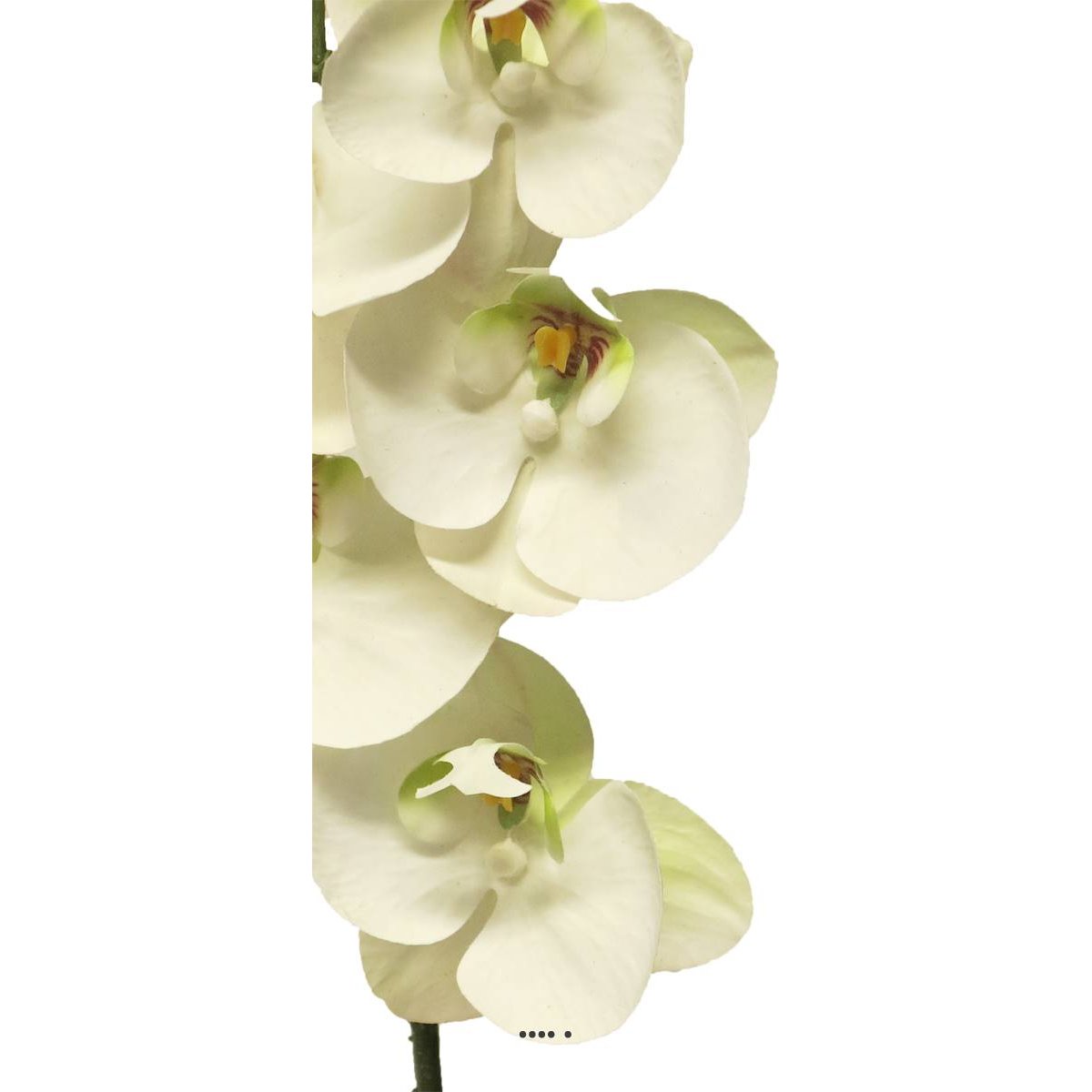 Tige orchidée phalaenopsis faux 5fleurons crème, ARTIFICIELLES