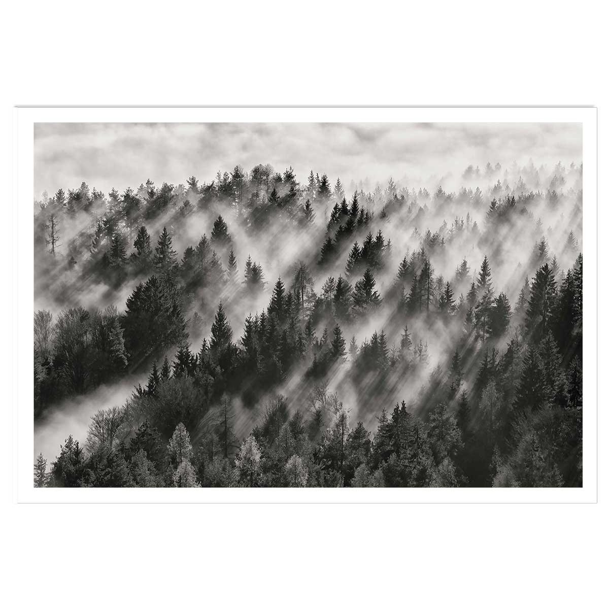 Affiche paysage rayons de lumière affiche seule, HEXOA