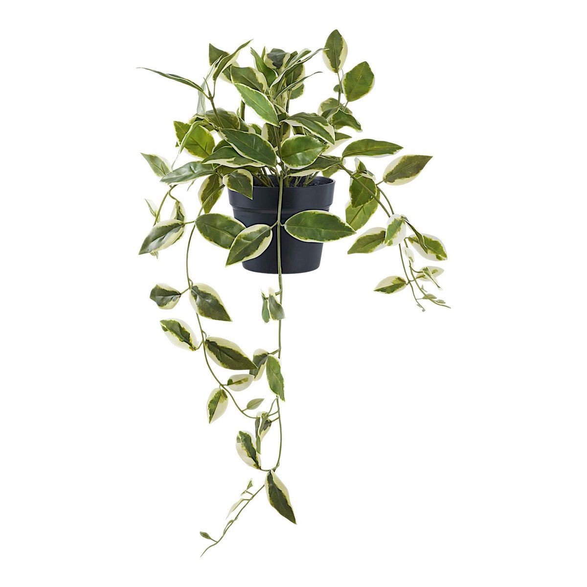 Plante artificielle hoya carnosa en pot vert, PIER IMPORT