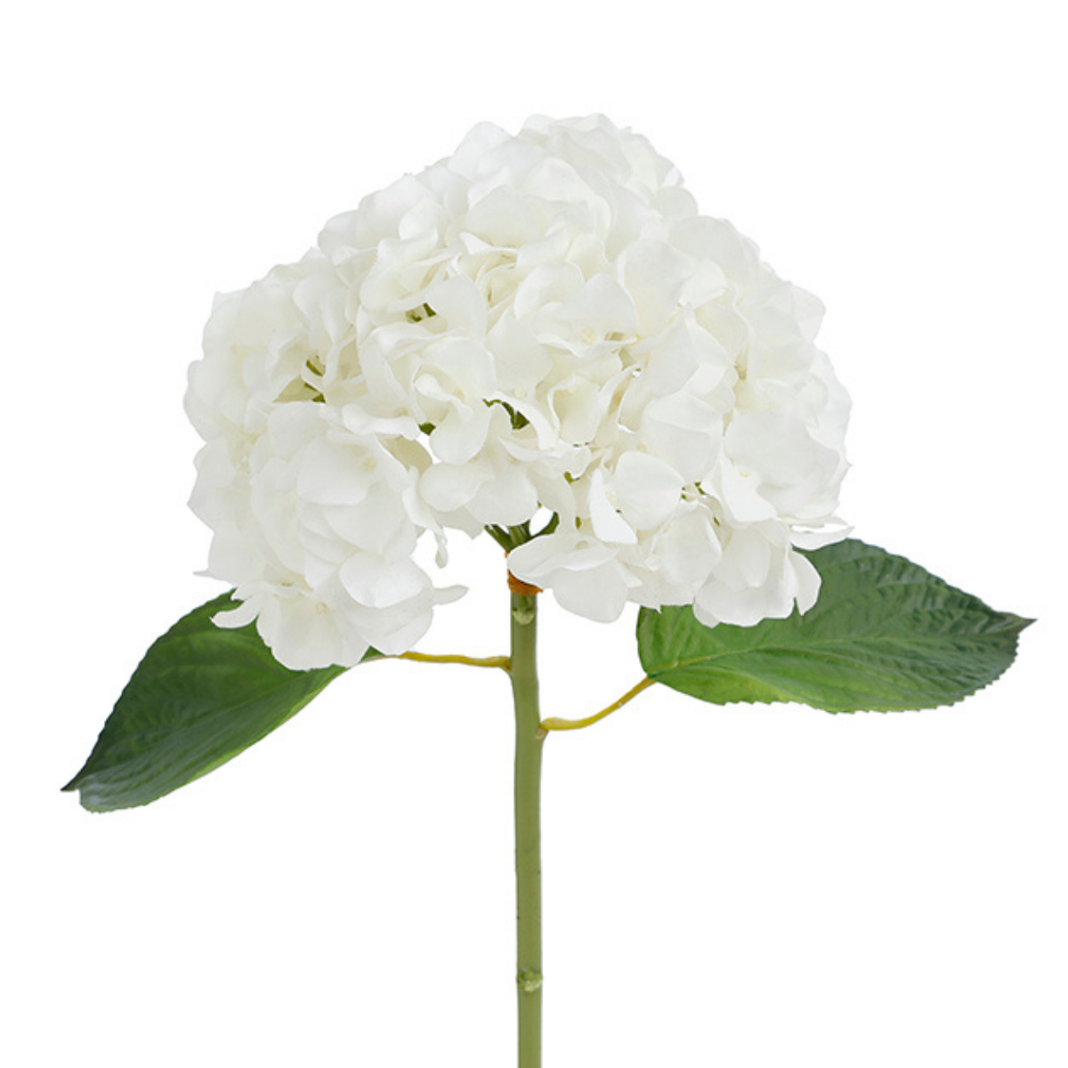 Tige d'hortensia avec feuilles artificielles H45 PREMIUM blanc, SIA DECO