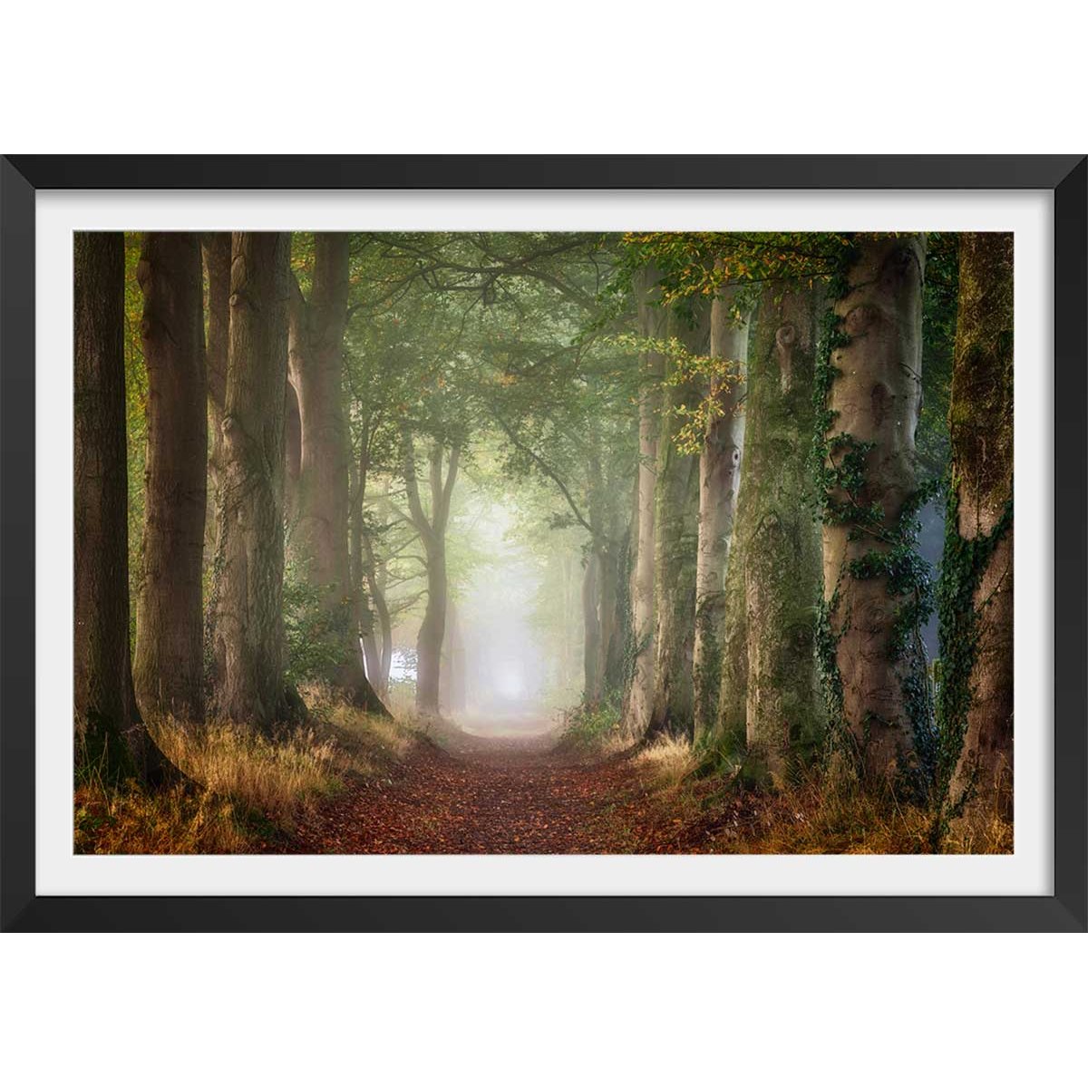 Affiche paysage sur le chemin affiche + cadre en bois - noir, HEXOA