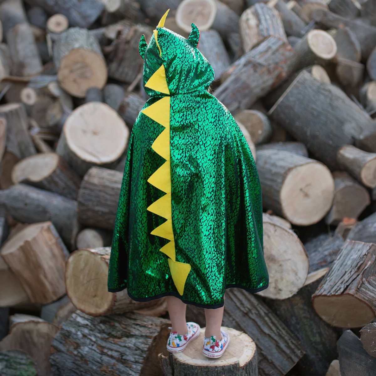 Déguisement enfant cape reversible chevalier dragon vert, GREAT PRETENDERS