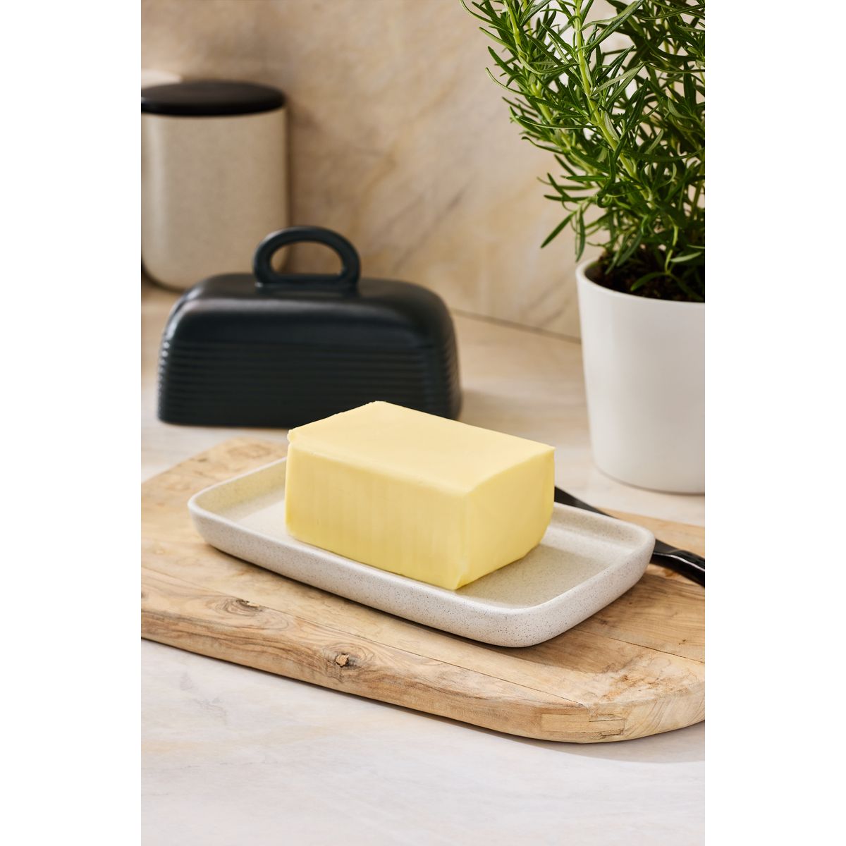 Beurrier otis monochrome, NEXT