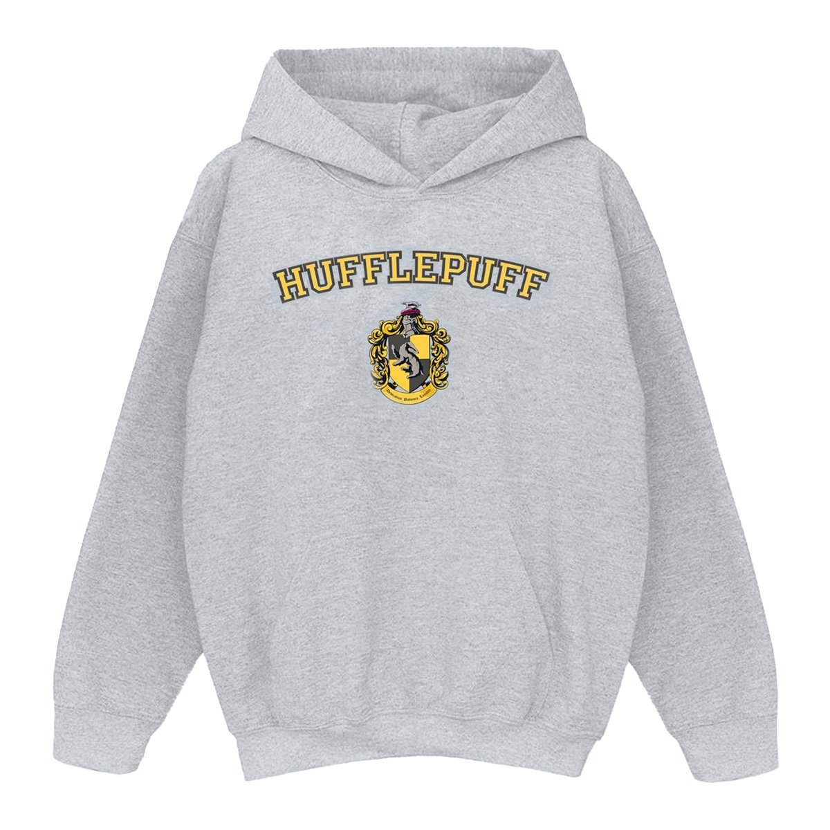 Sweat à capuche gris chiné, HARRY POTTER