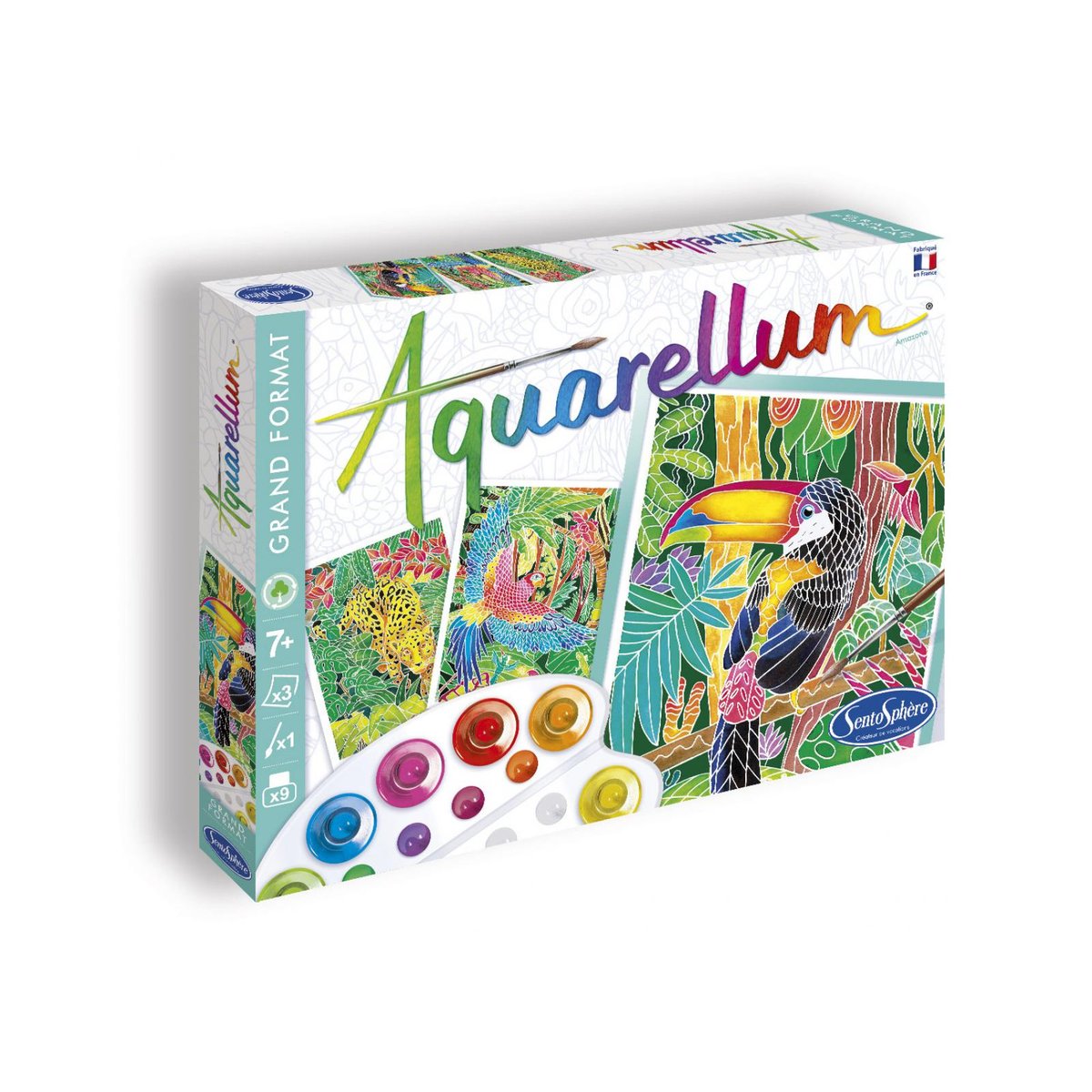 Aquarellum amazone autres, SENTOSPHERE
