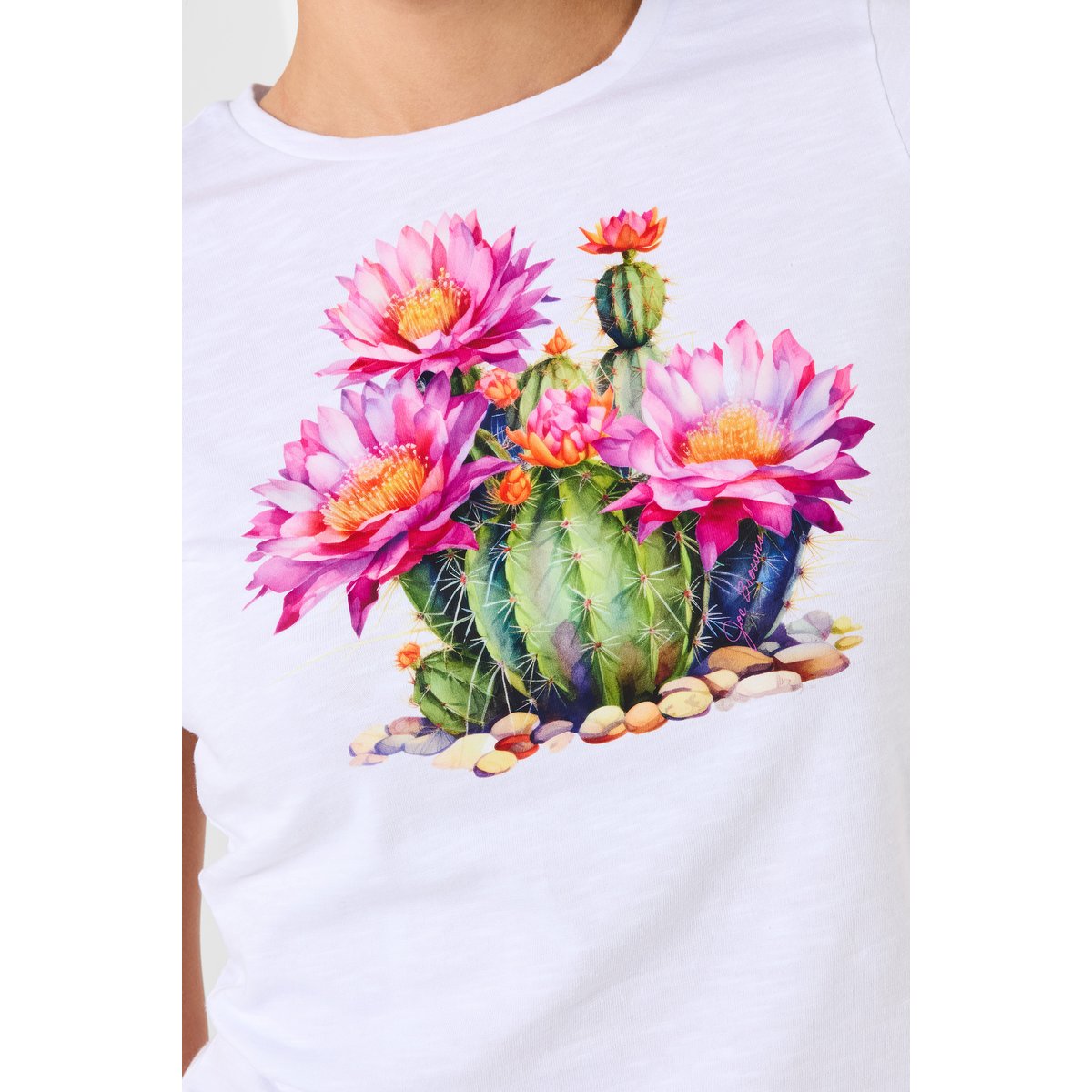 T-shirt à motif cactus blanc, JOE BROWNS