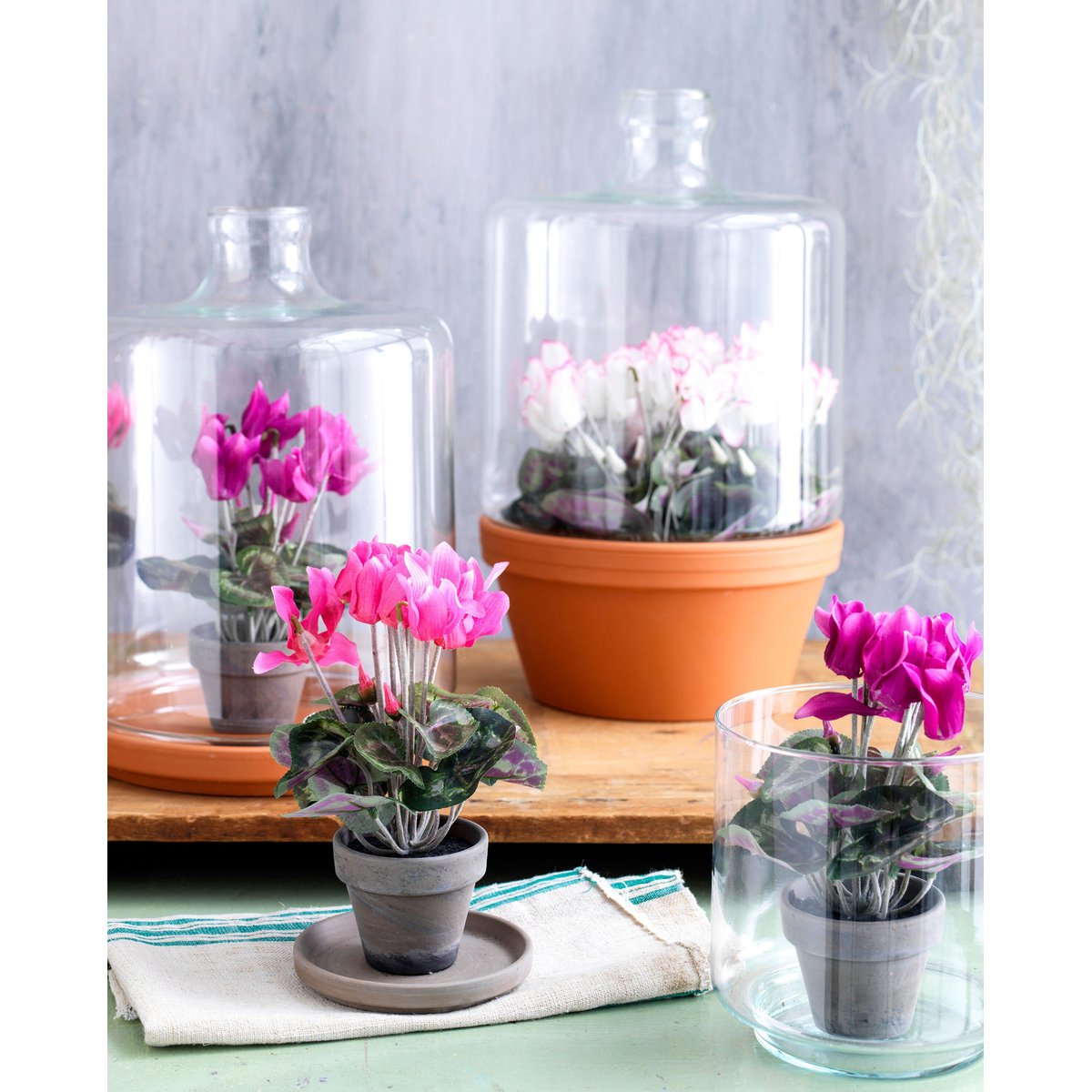 Plante artificielle CYCLAMEN rose foncé, MICA DECORATIONS