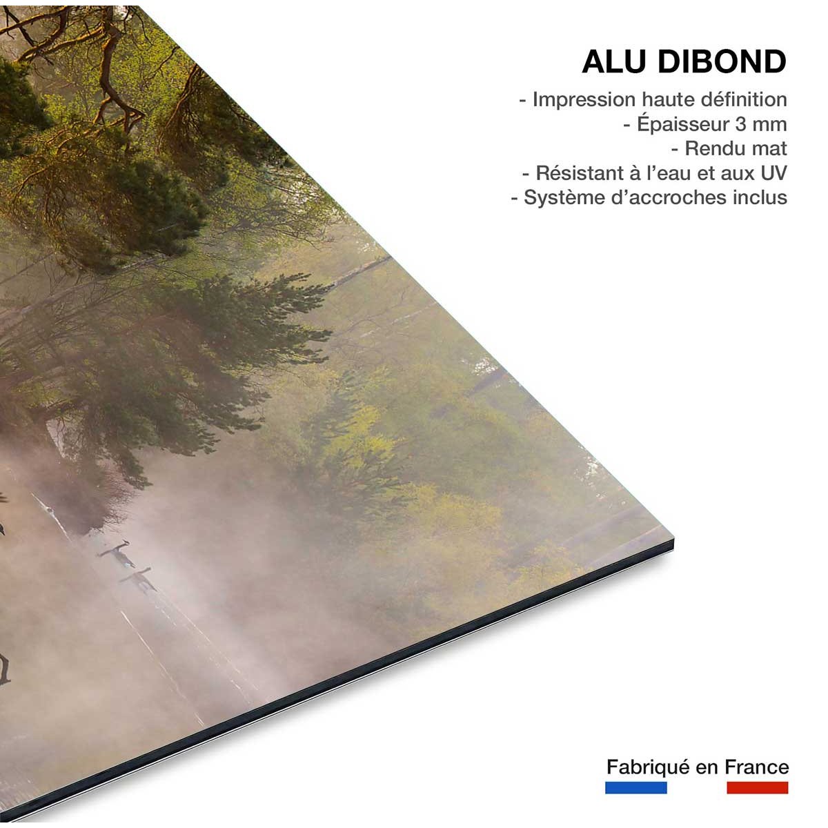 Tableau oies sauvages tableau alu dibond, HEXOA