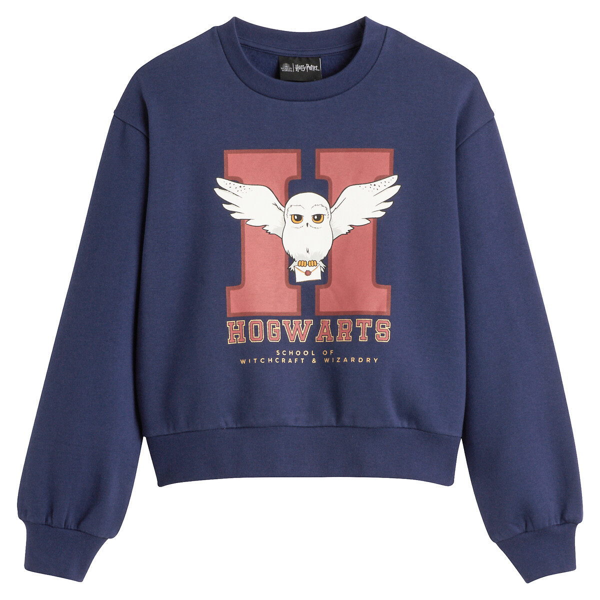 Cotton Mix Sweatshirt navy blue, HARRY POTTER