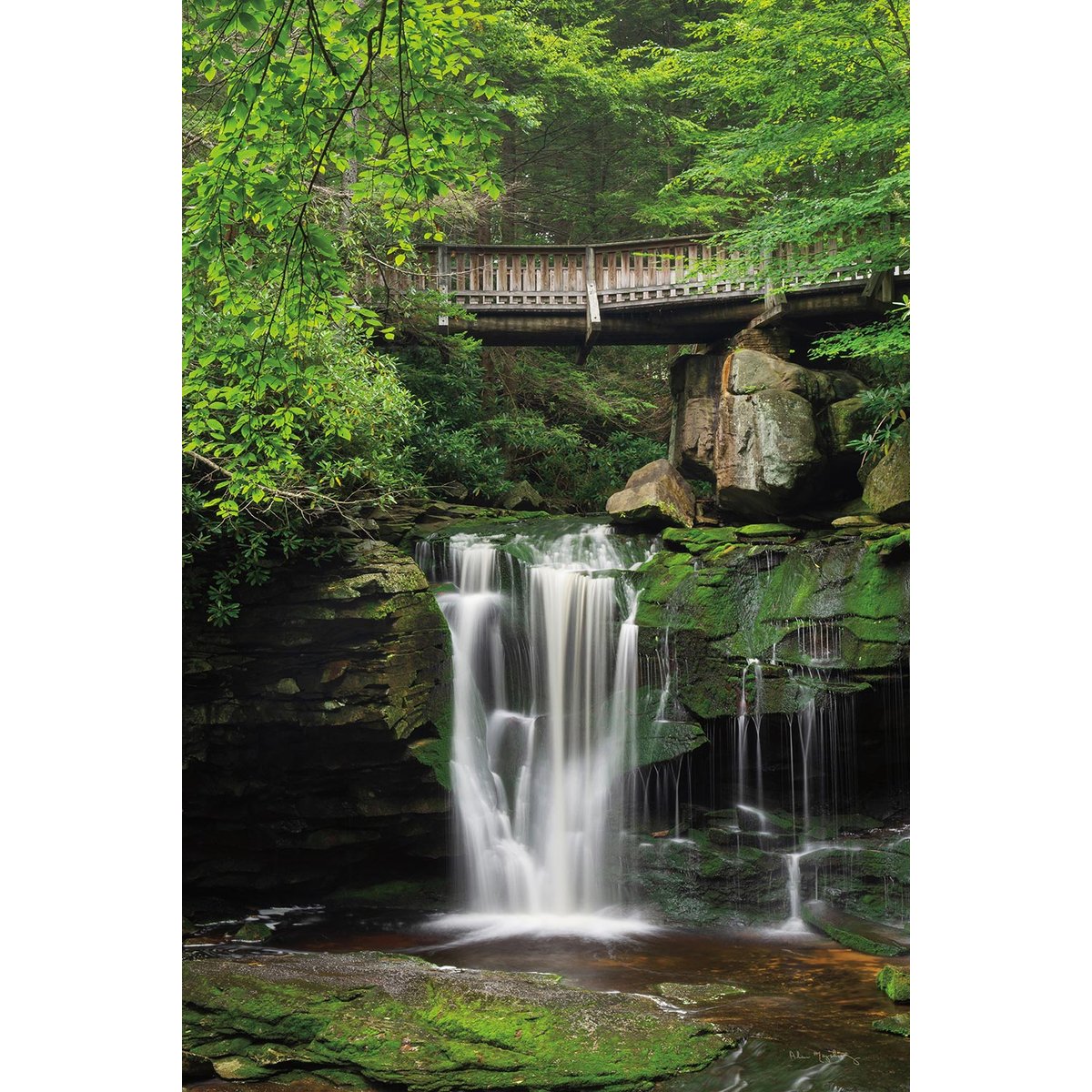 Tableau cascade chutes d'elakala ouest tableau alu dibond, HEXOA