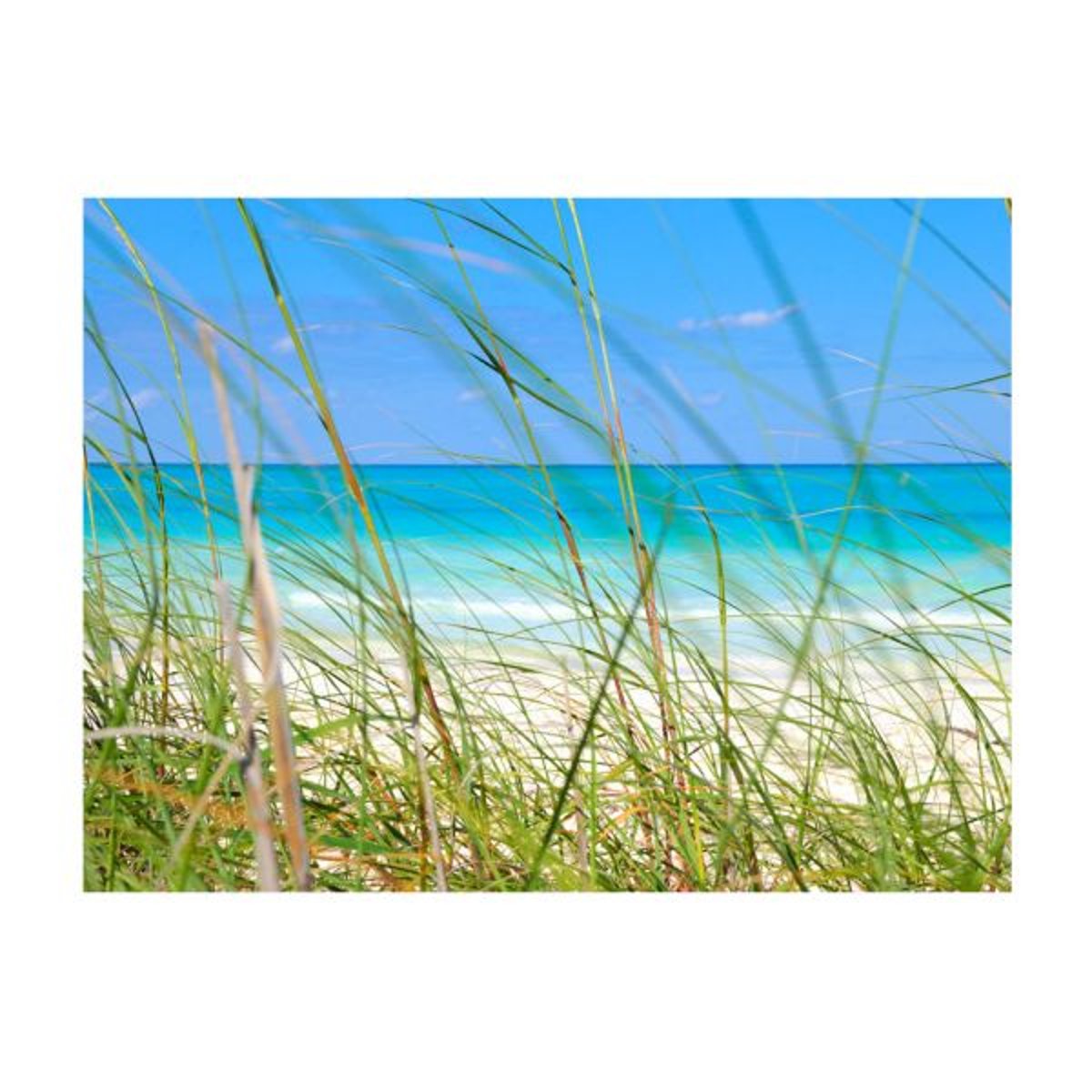 Papier peint intissé panoramique Paysage Tropical journey beige, EDEN