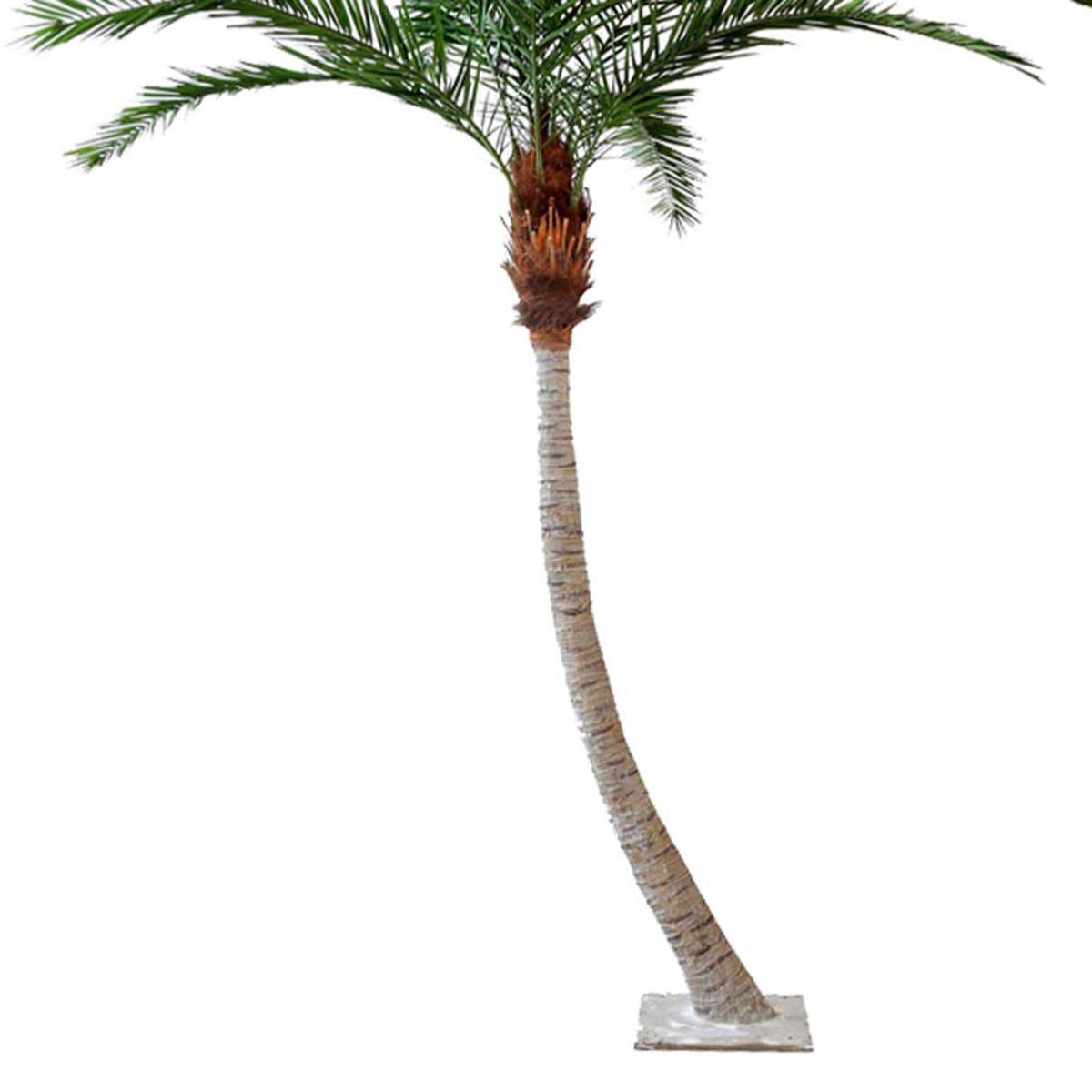 Palmier Phoenix Artificiel Courbe H340cm D21 vert, ARTIFICIELLES