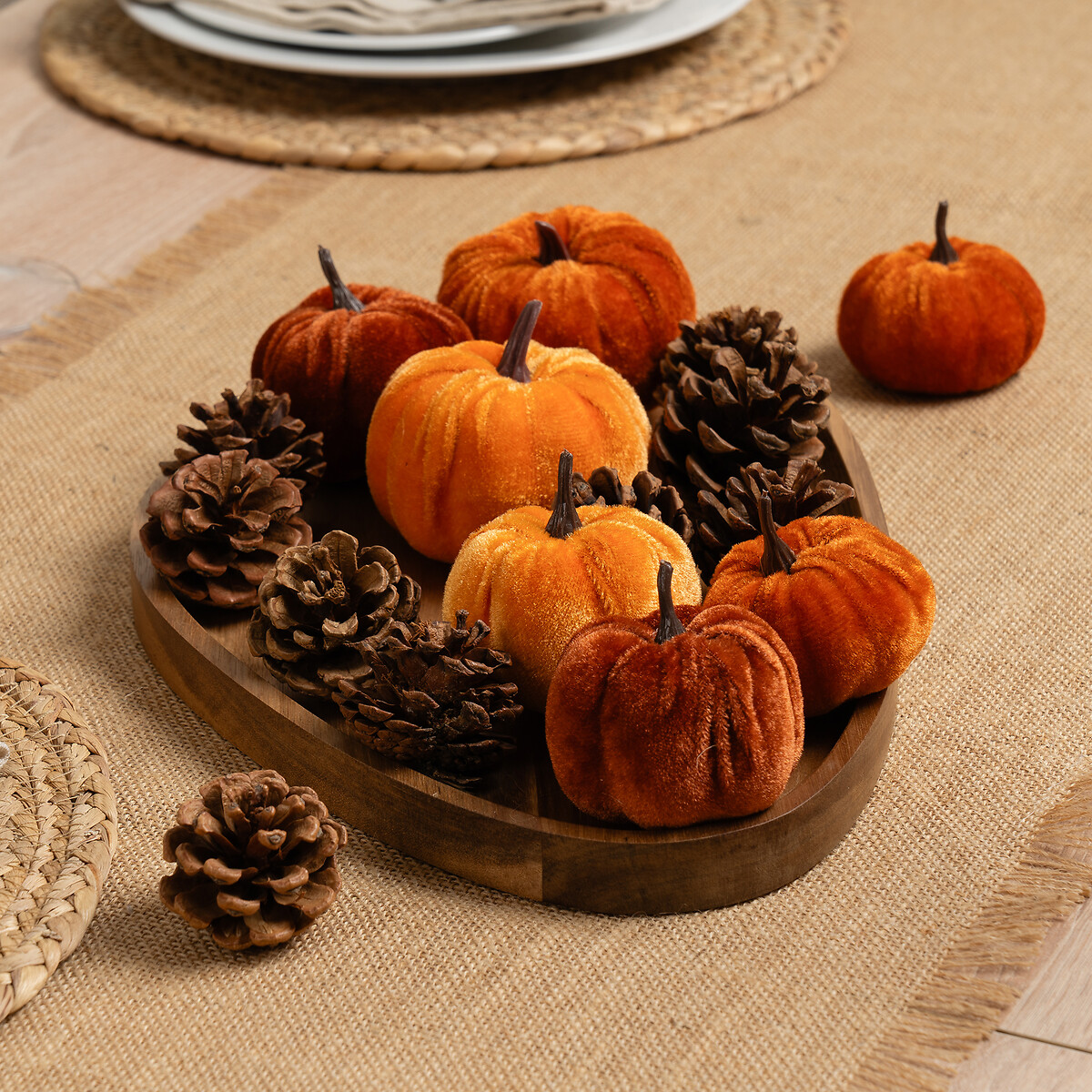 Set of Decorative Velvet Pumpkins and Pinecones orange, SO'HOME