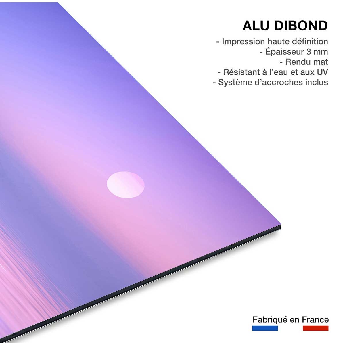 Tableau animaux Morning Flamingo tableau alu dibond, HEXOA
