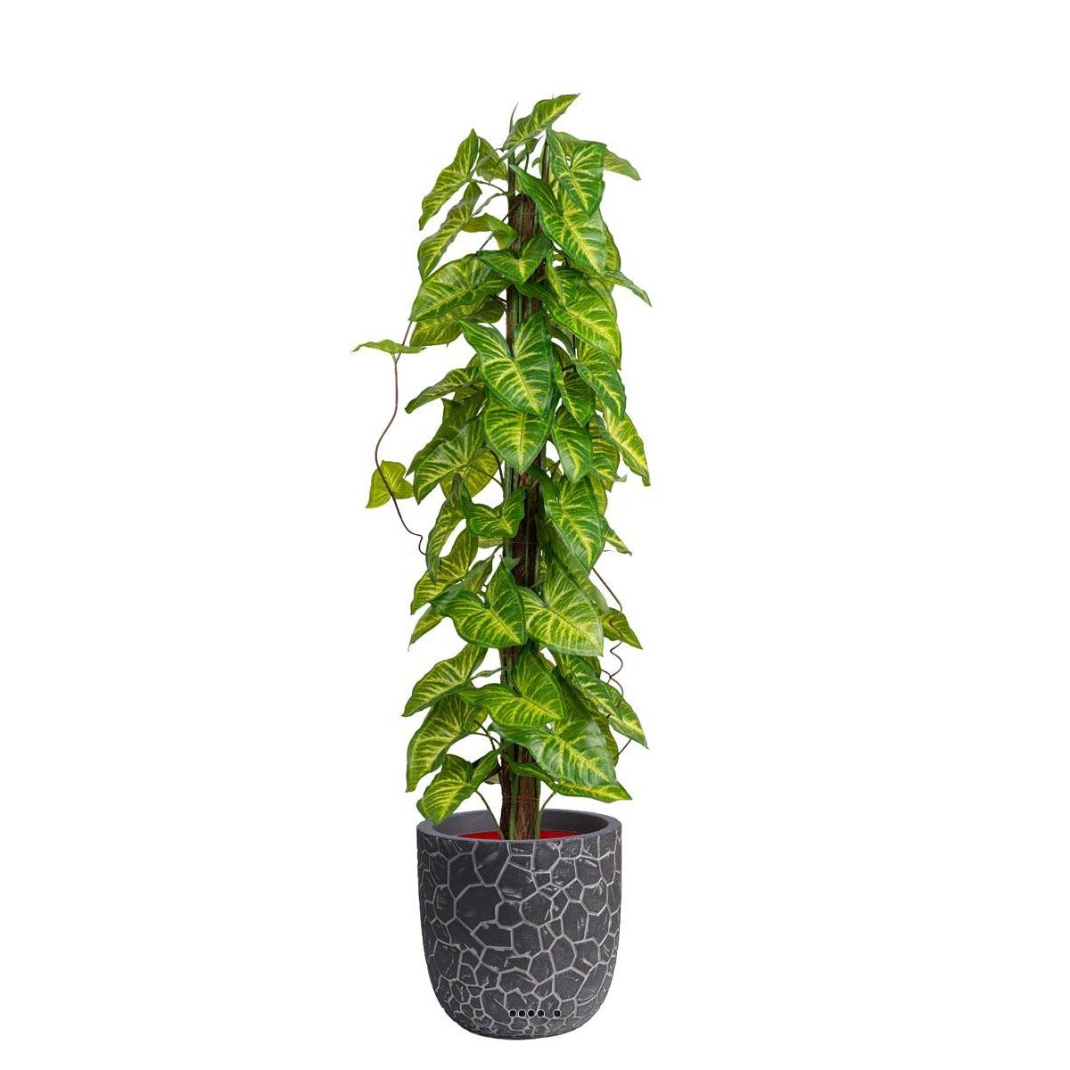 Feuillage d'Hosta artificiel sur v002239, ARTIFICIELLES
