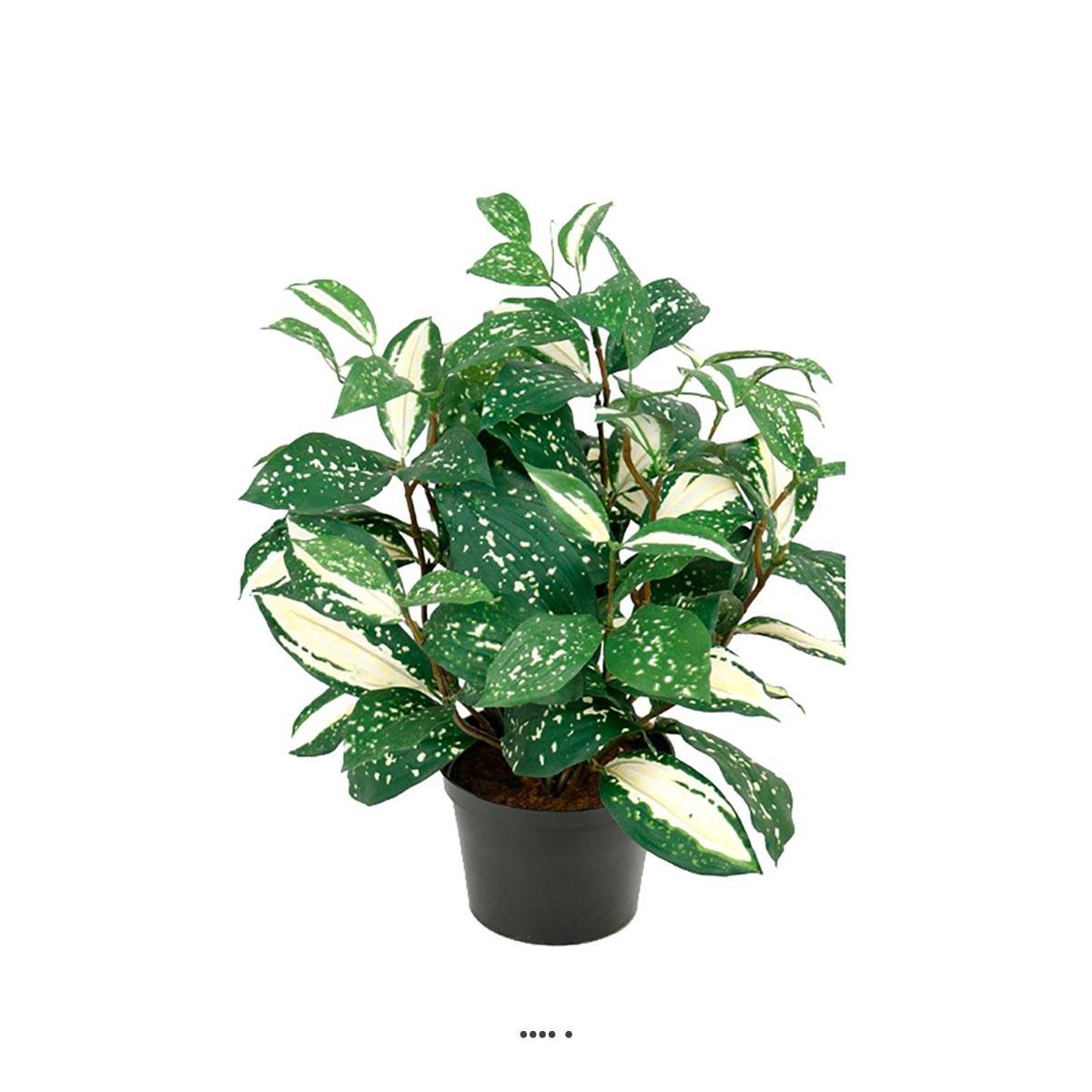 Pothos artificiel au feuillage tacheté H 35 v002239, ARTIFICIELLES
