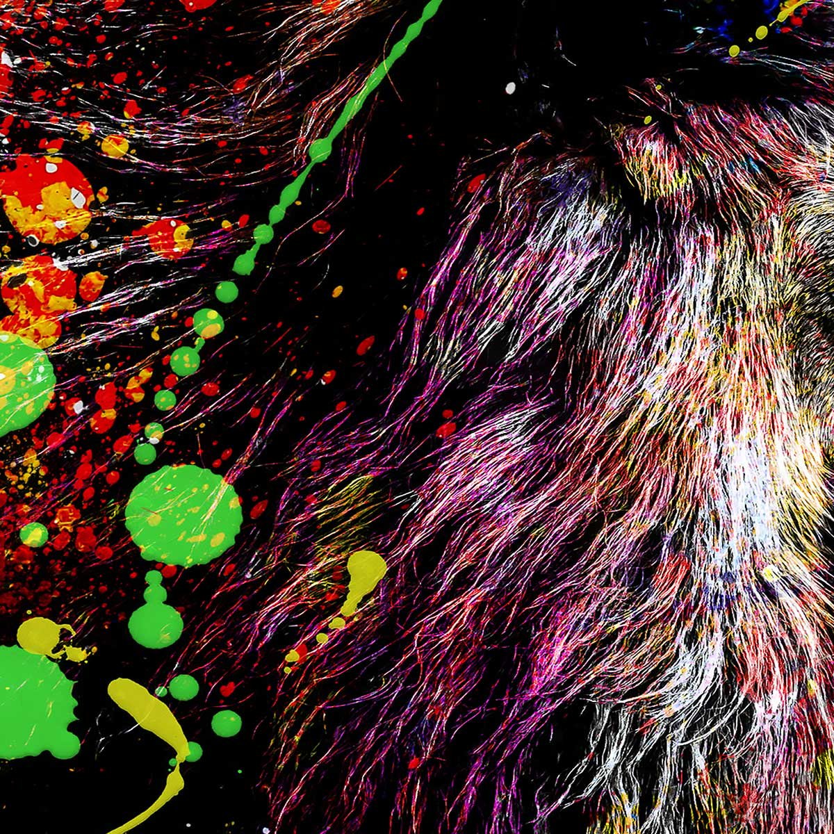 Affiche encadrée lion pop art affiche + cadre en métal - noir, HEXOA