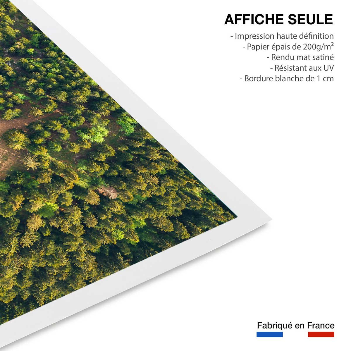Affiche nature urbaine l' aventure affiche seule, HEXOA
