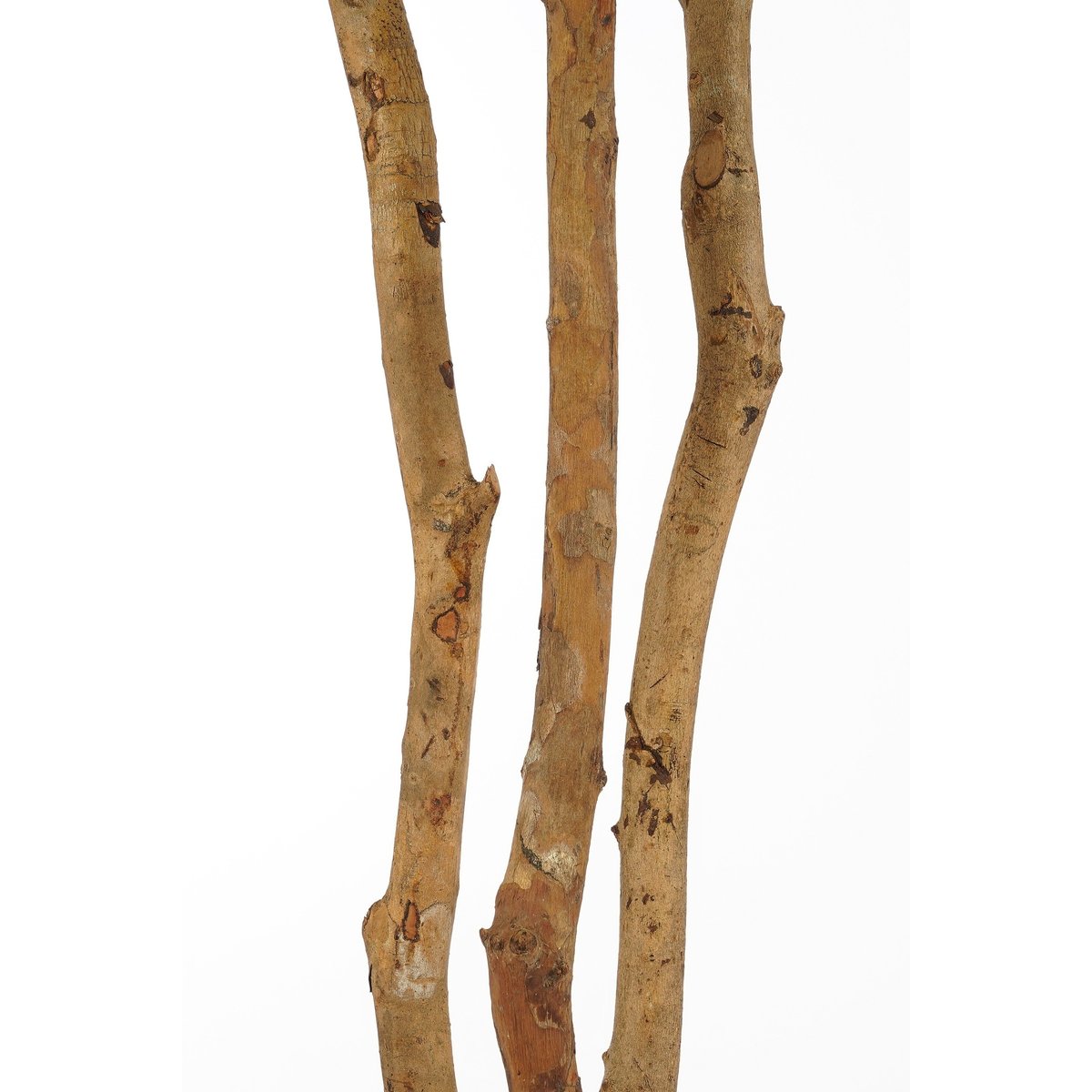 Plante artificielle de monstera vert, MICA DECORATIONS