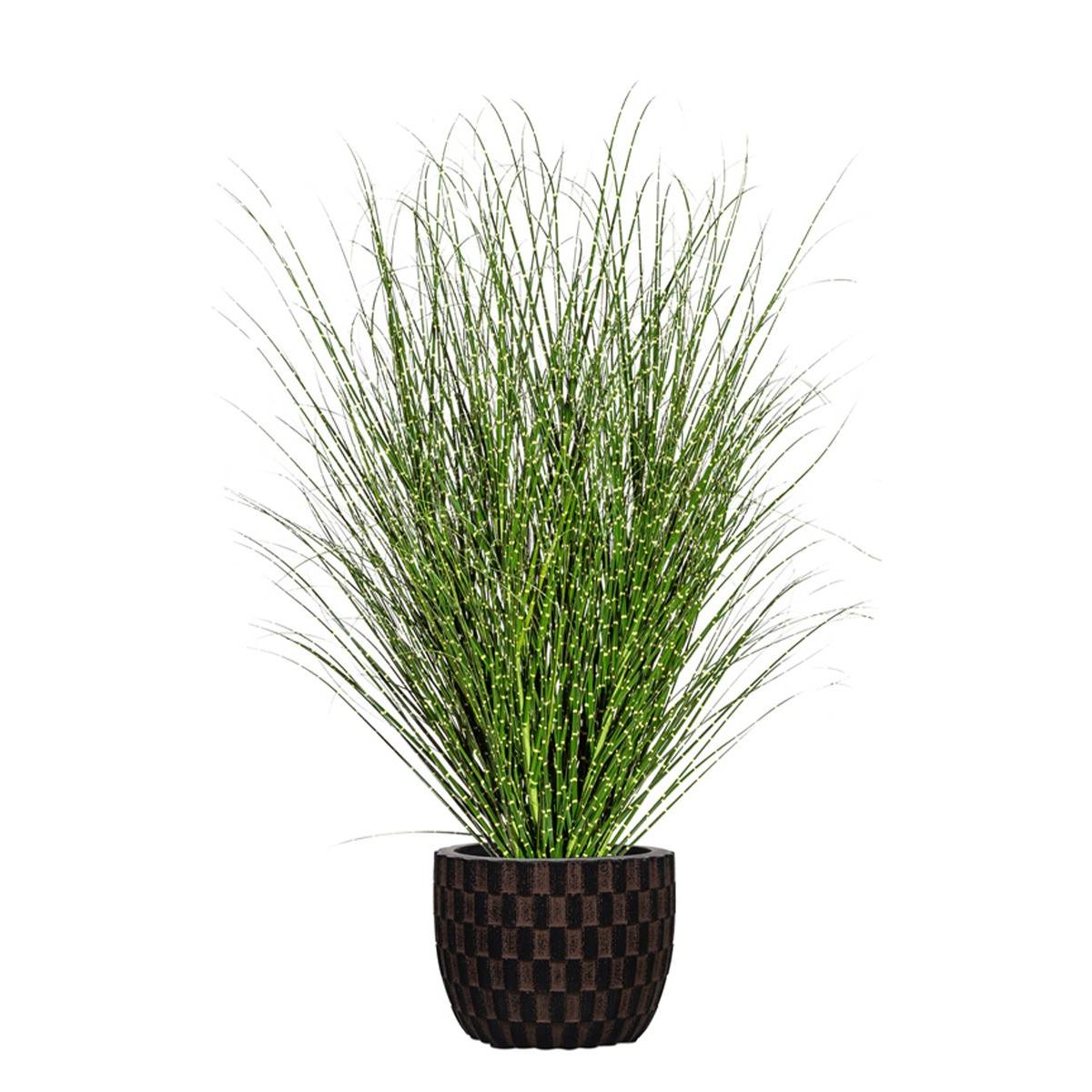 Miscanthus Zebrinus Factice,Graminée réalist vert, ARTIFICIELLES