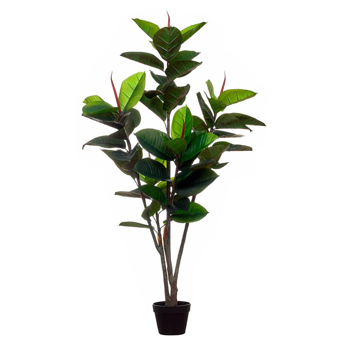 Planta artificial "Rubber Tree" 150cm, BORGHESI verde, BORGHESI