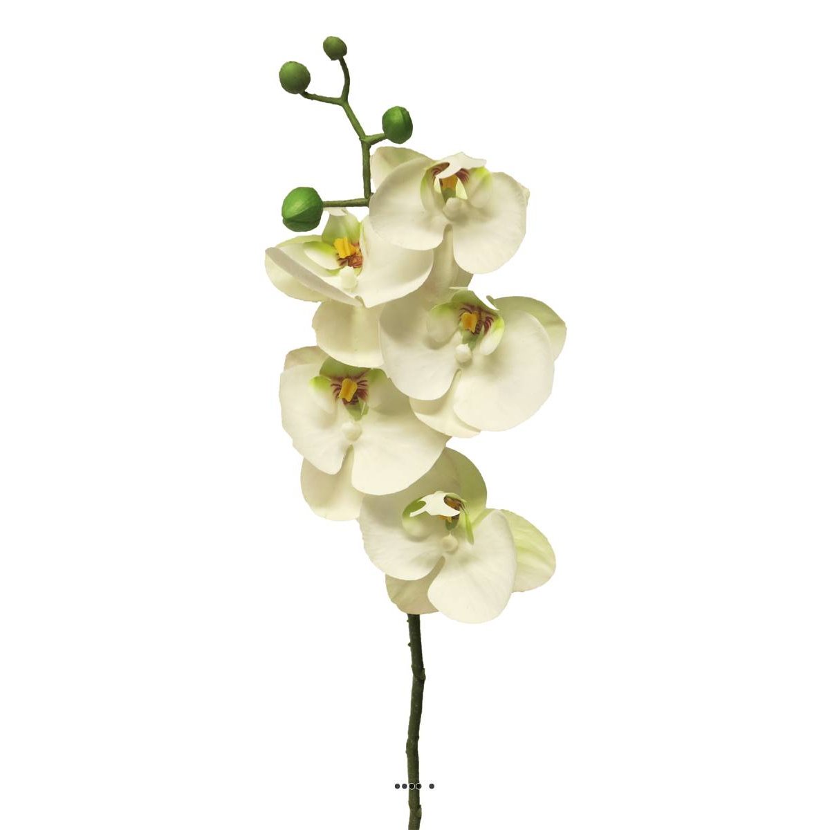 Tige orchidée phalaenopsis faux 5fleurons crème, ARTIFICIELLES