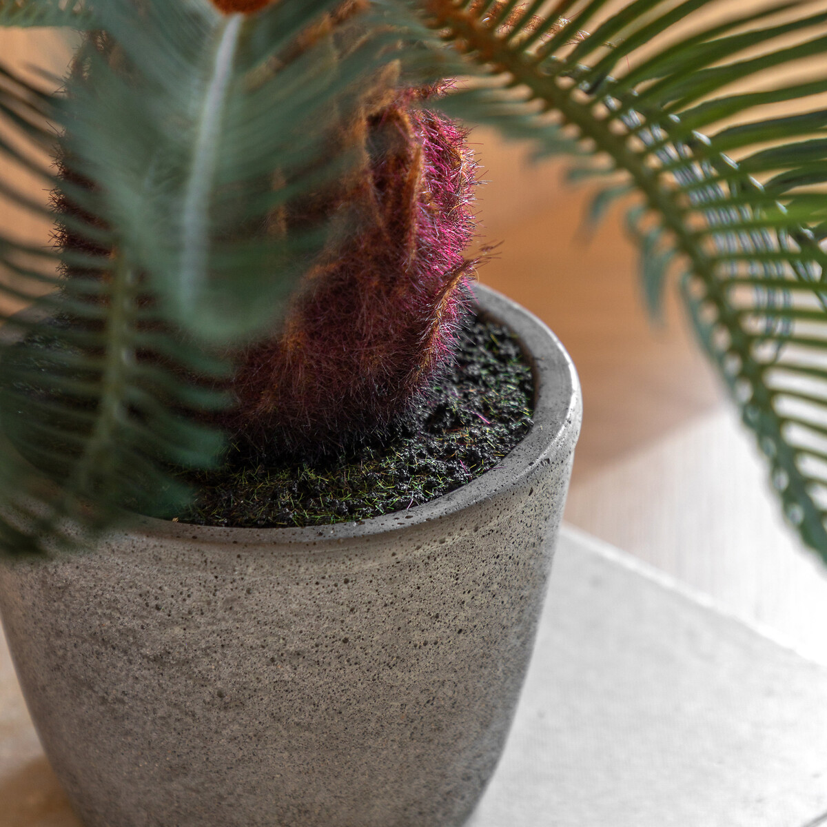 Wide Palm in Concrete Pot natural, SO'HOME