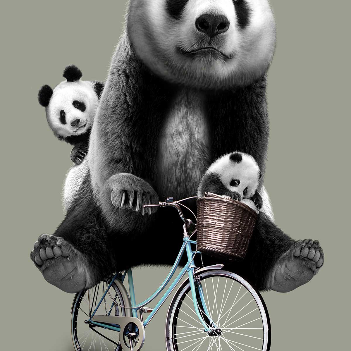 Affiche enfant petang affiche seule, HEXOA