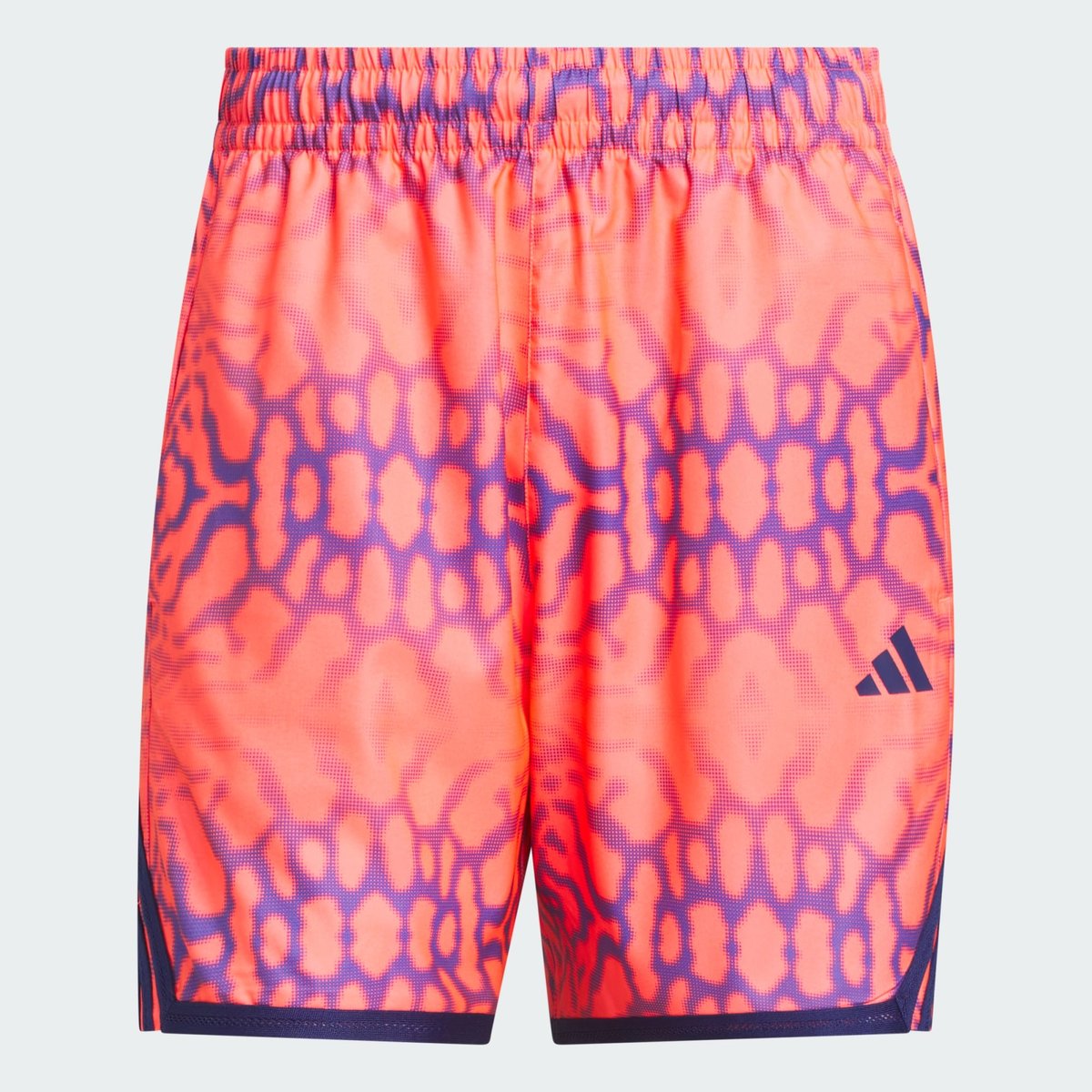 Short Graphique Crazylite Short Graphique Crazylite solar turbo, adidas Performance