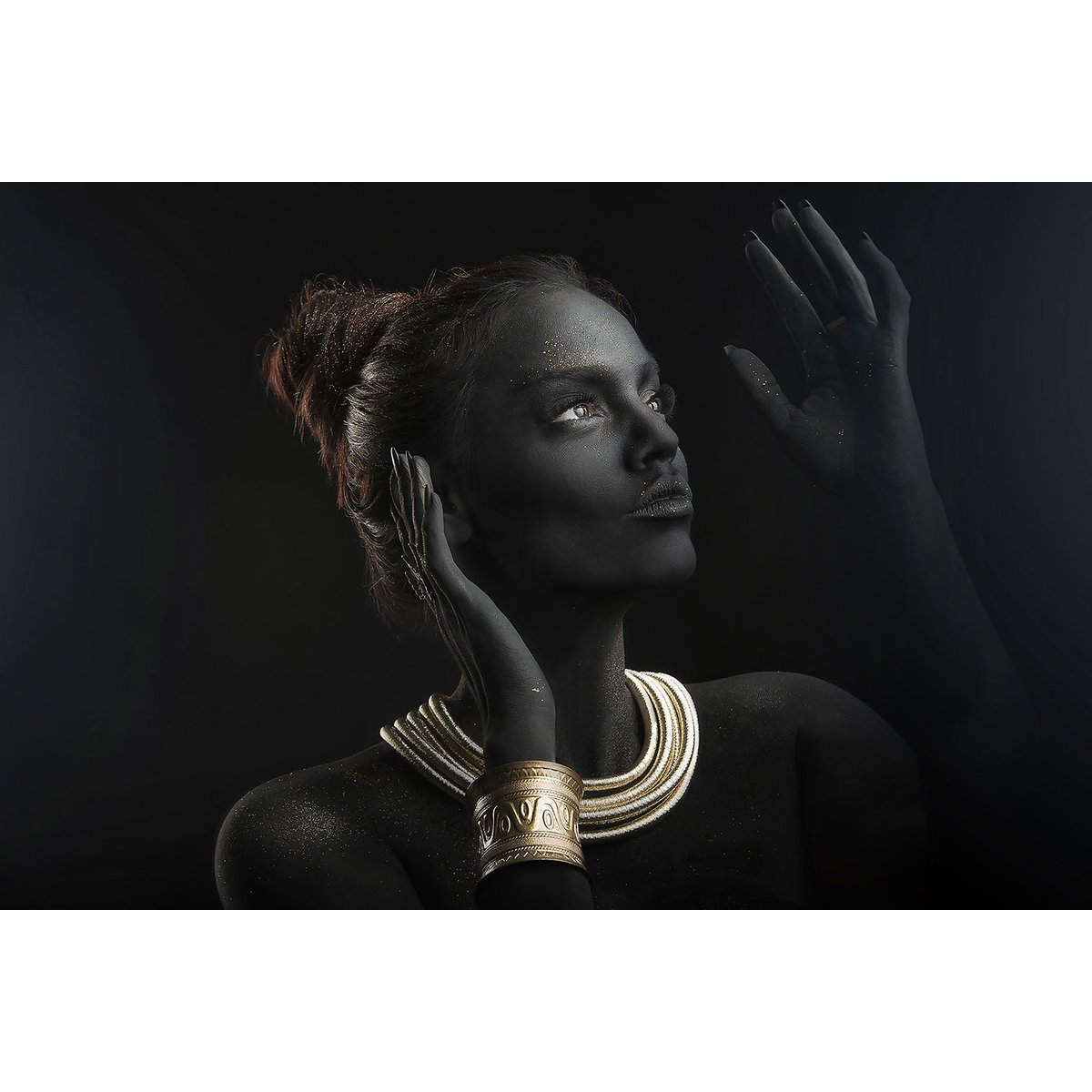 Tableau d'art sofia tableau alu dibond, HEXOA
