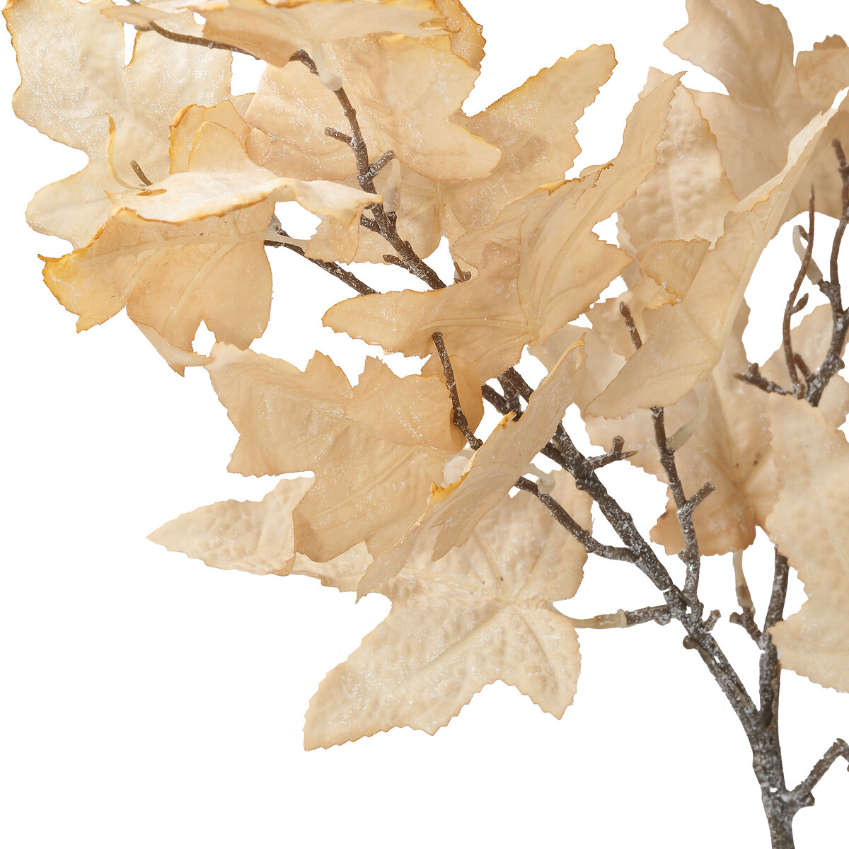 Set of 6 82cm Natural Apricot Maple Leaf Stems natural, ÉDITÉ