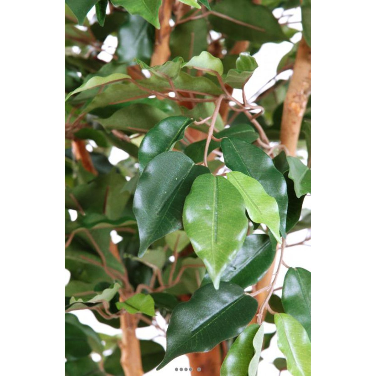 Ficus Benjamina factice grande f vert, ARTIFICIELLES