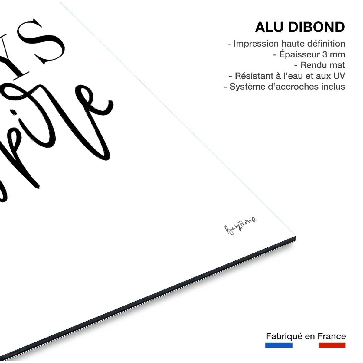 Tableau always inspire tableau alu dibond, HEXOA