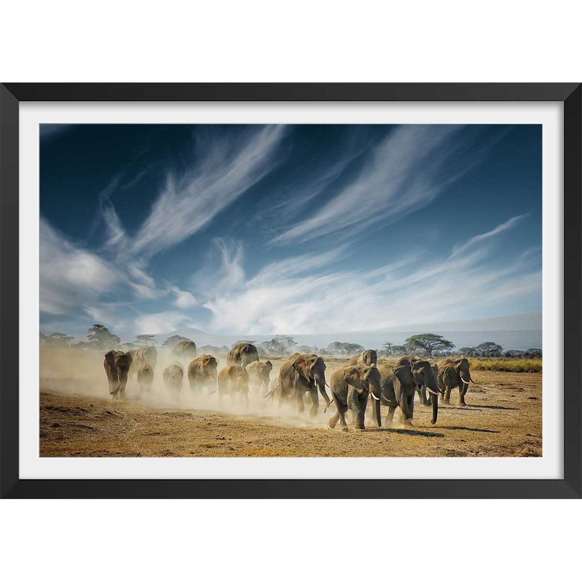 Affiche animaux éléphantfamily affiche + cadre en bois - noir, HEXOA