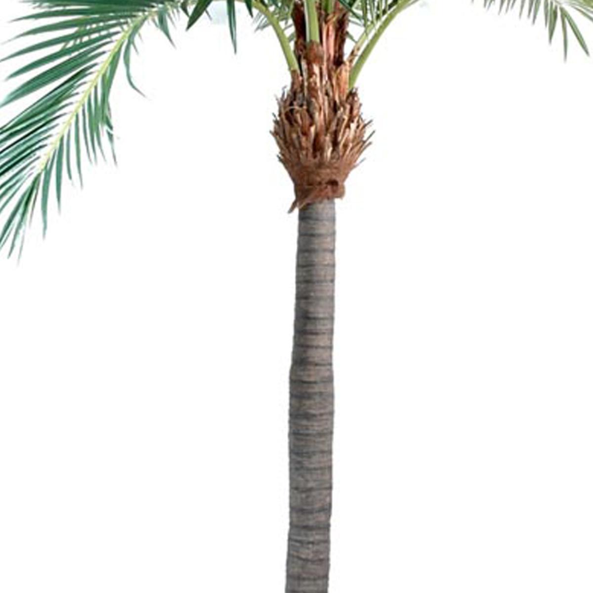 Palmier Phoenix artificiel H 400 cm D 290 cm vert, ARTIFICIELLES