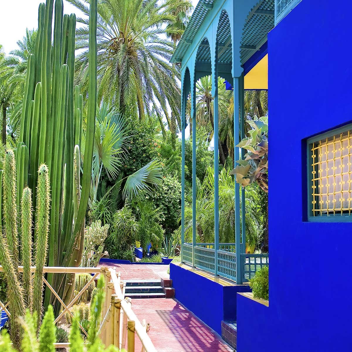 Tableau jardin majorelle tableau alu dibond, HEXOA