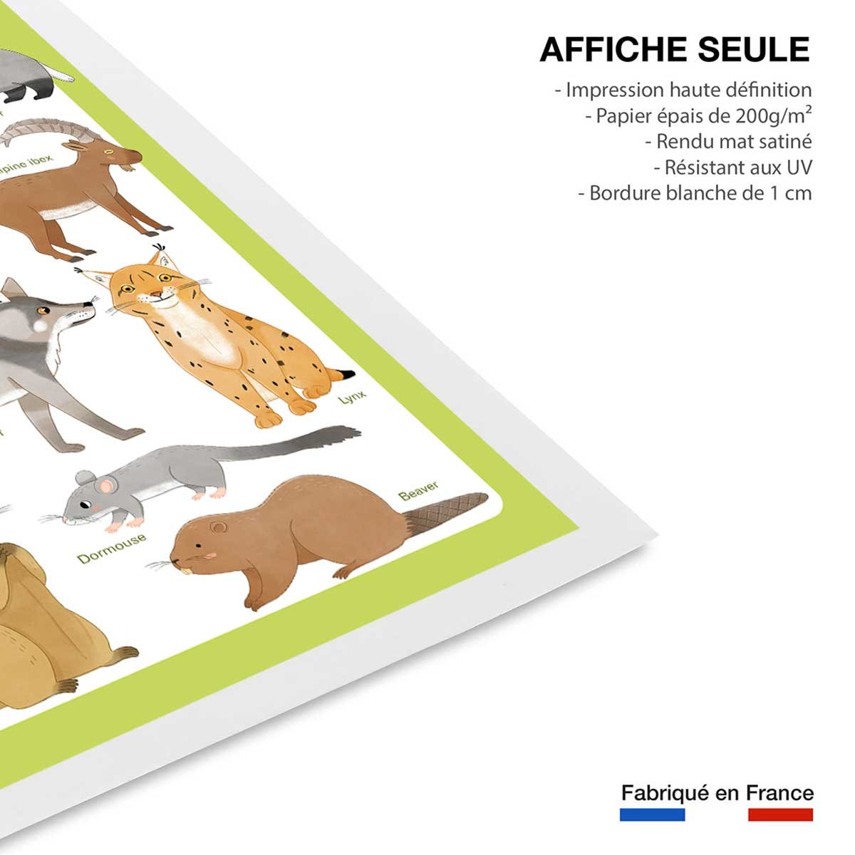 Affiche enfant animaux d'europe affiche seule, HEXOA