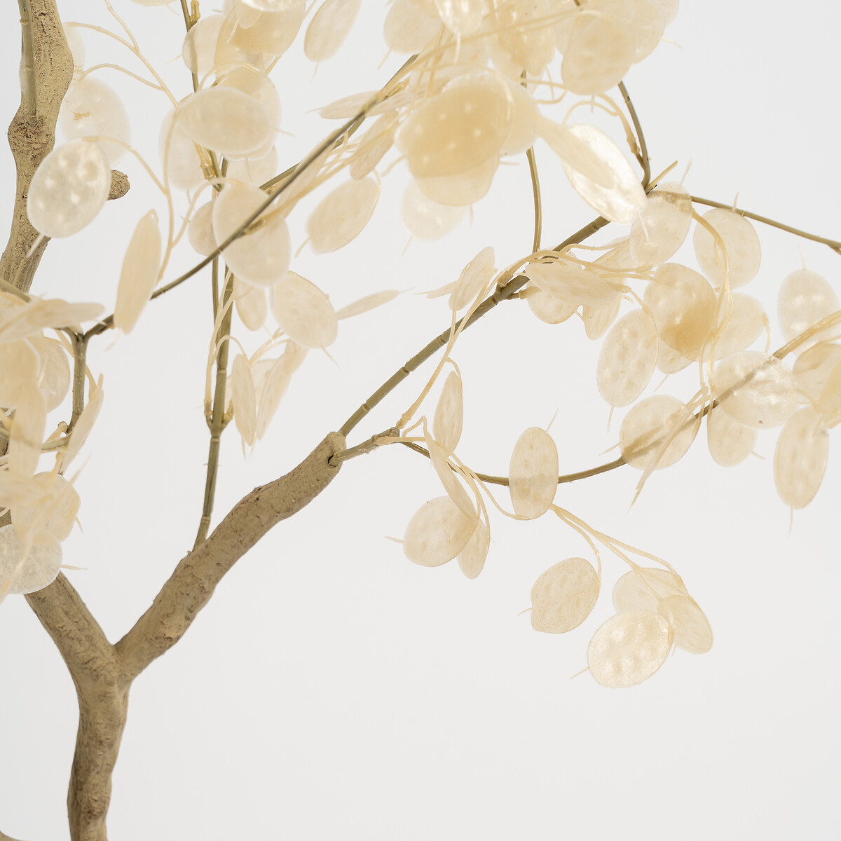 120cm Honesty Tree beige, SO'HOME