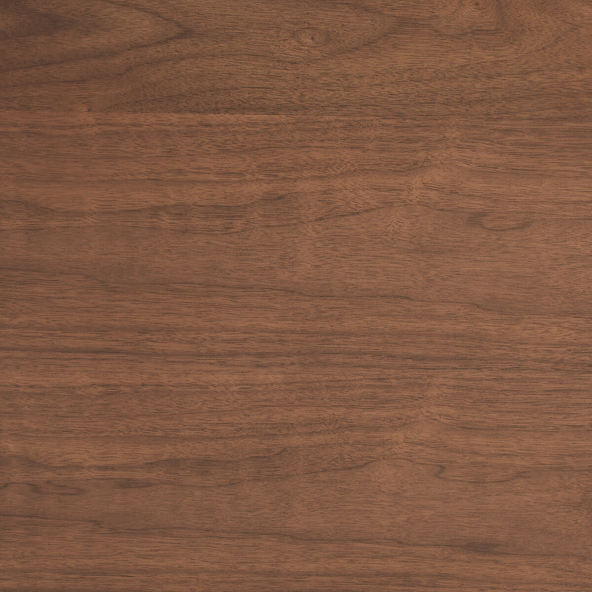 Mikube Walnut Veneered MDF 1-Door Office Cabinet walnut, AM.PM