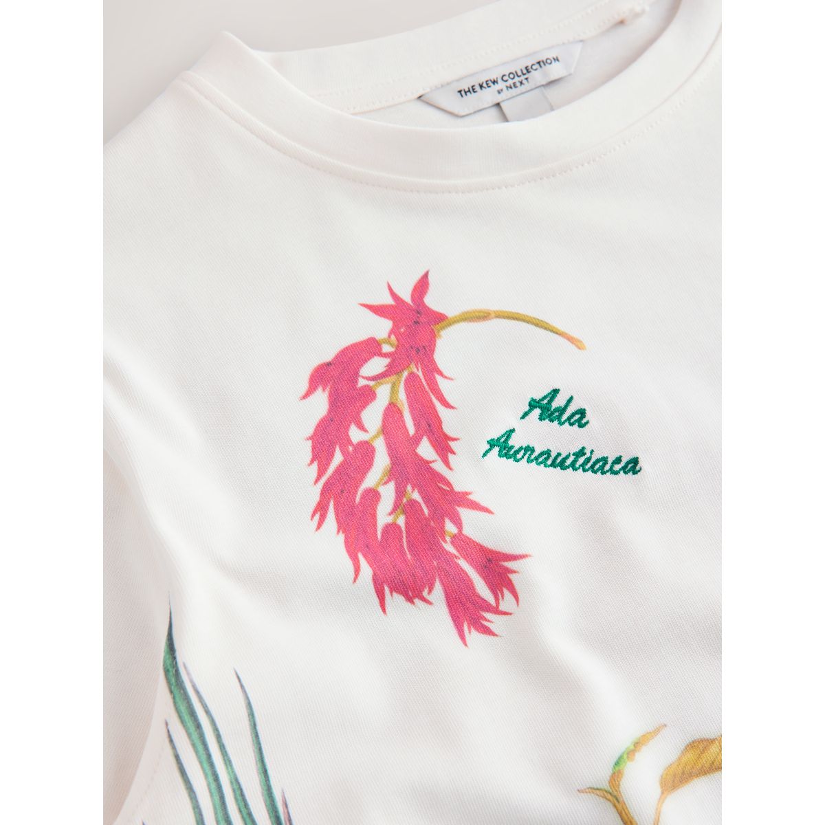 T-shirt manches courtes et motif kew gardens blanc, NEXT