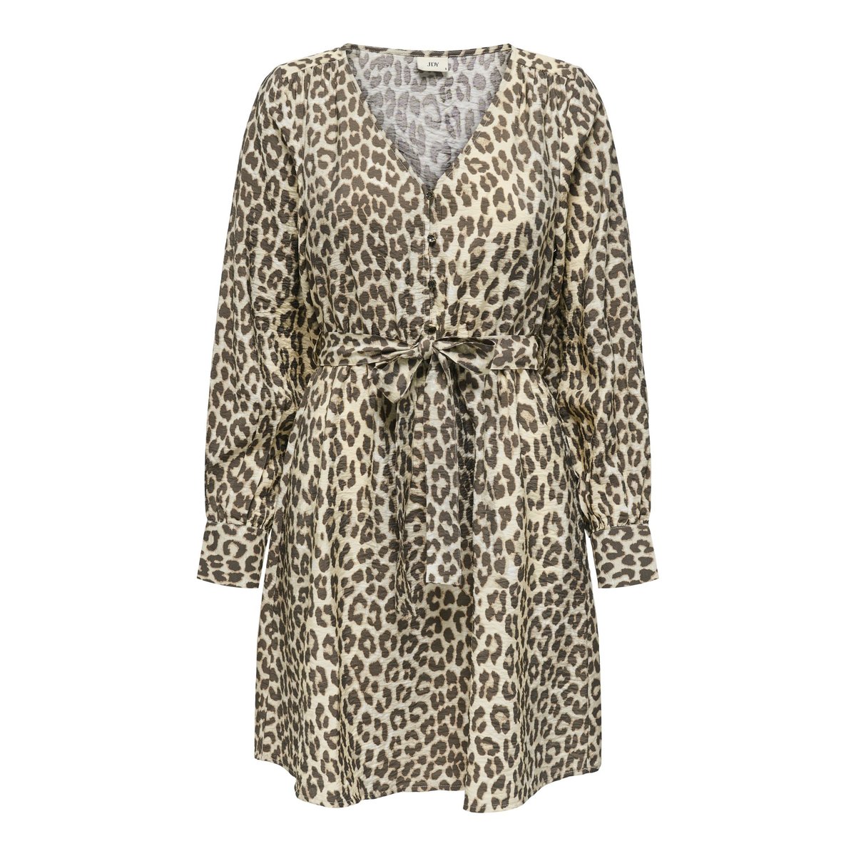 Robe birch, JDY