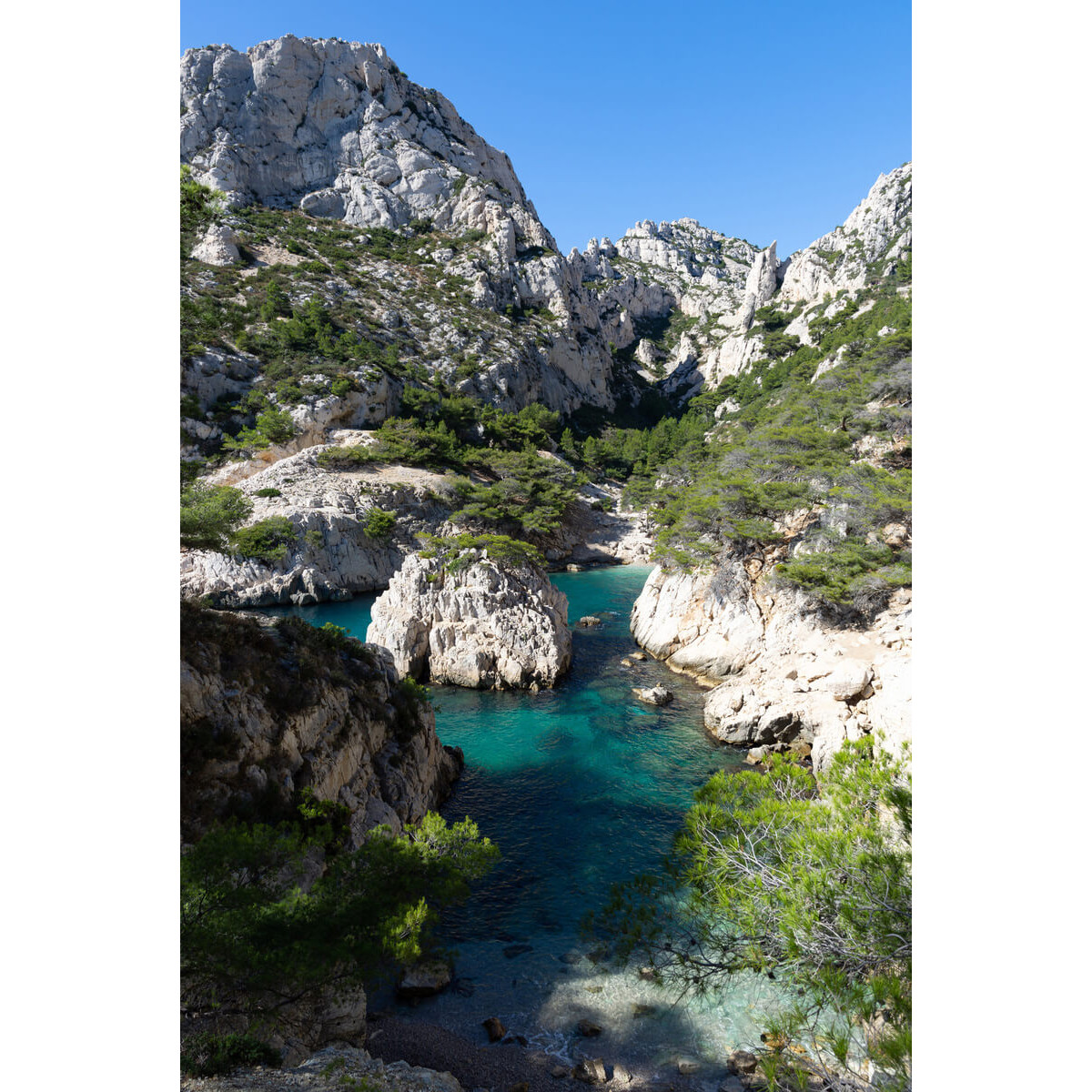 Tableau Mural Marseille Sugiton MER tableaux sur toile-vert, CEANOTHE
