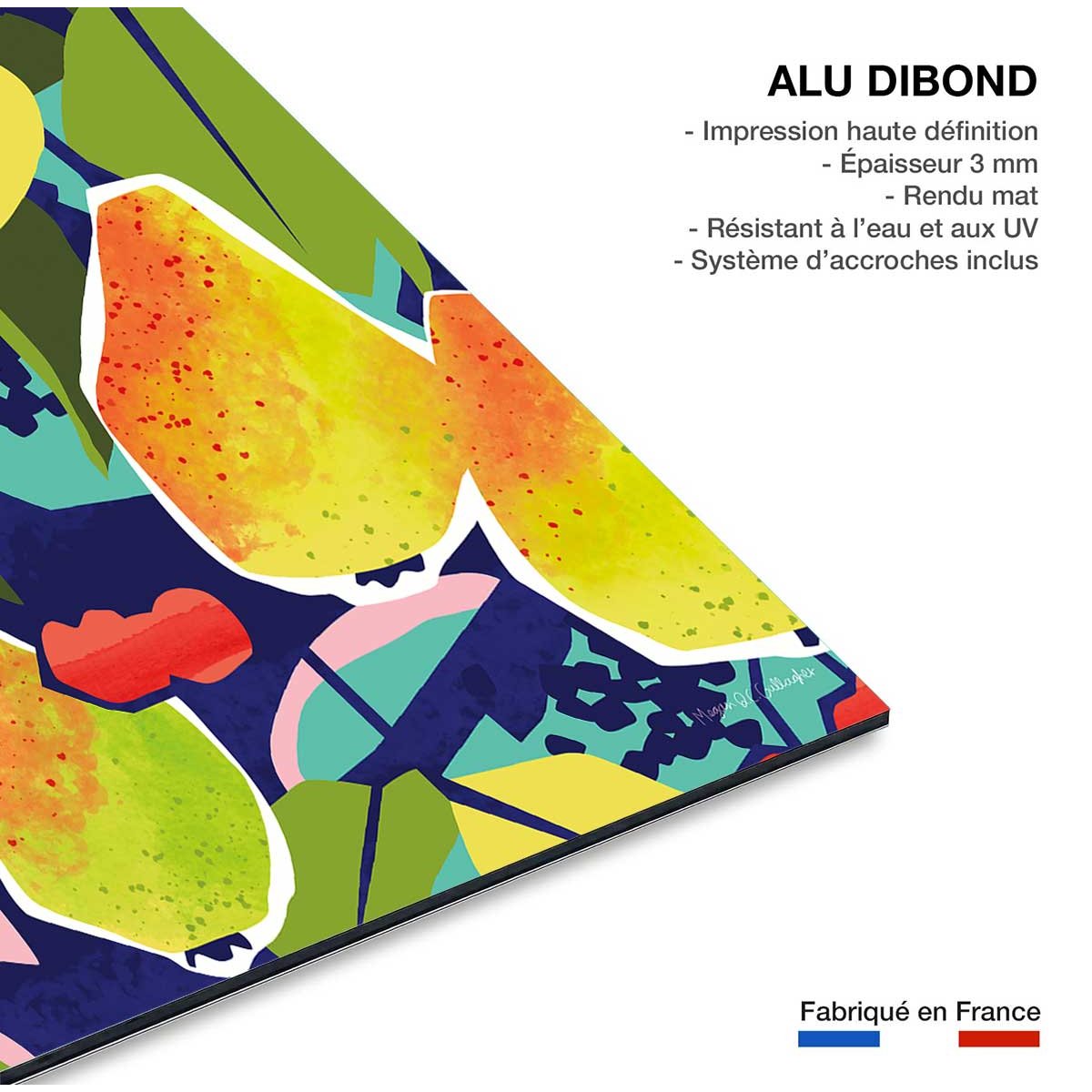 Tableau arbre coloré tableau alu dibond, HEXOA