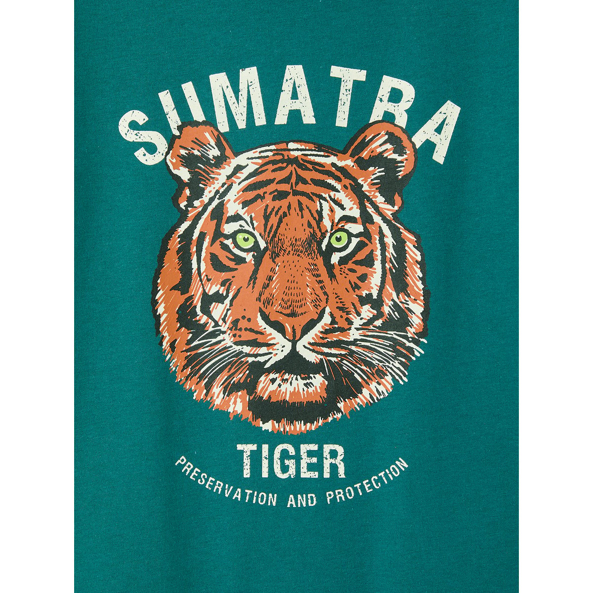 T-shirt motif tigre vert sapin, VERTBAUDET