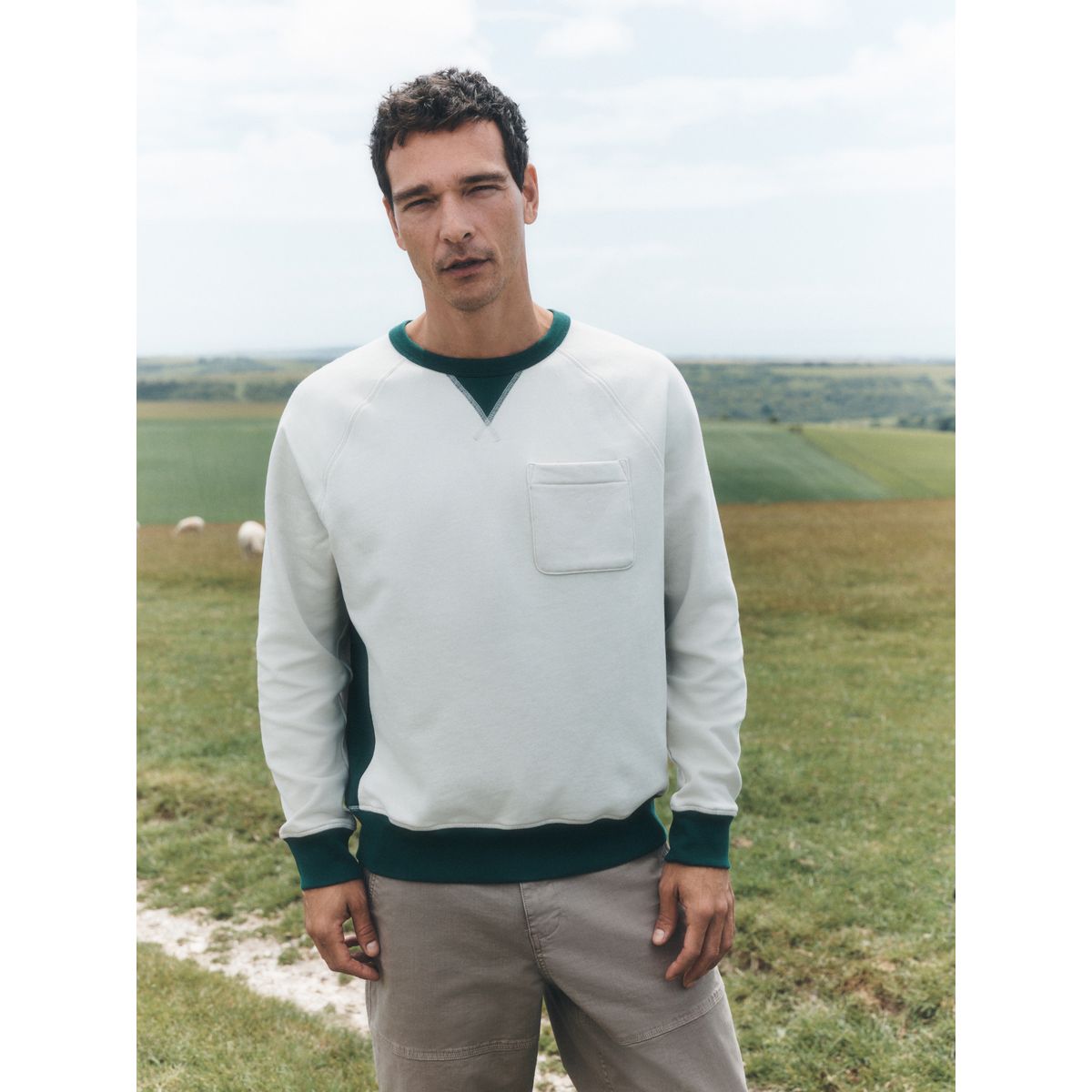 Sweat ras du cou doux à envers bouclé blanc/vert écru, NEXT