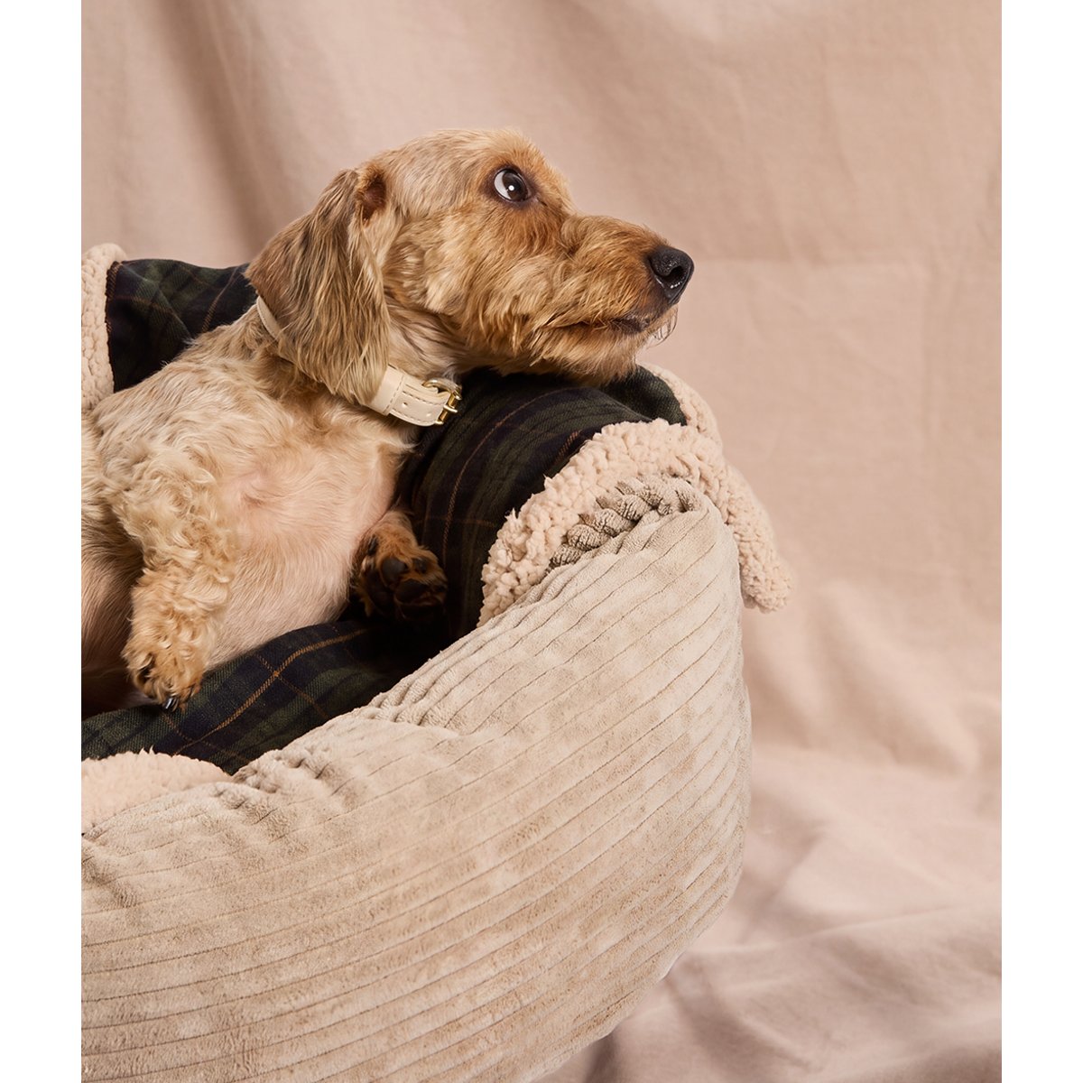 Couverture pour chien tartan verte, Toia vert, CAFIDE