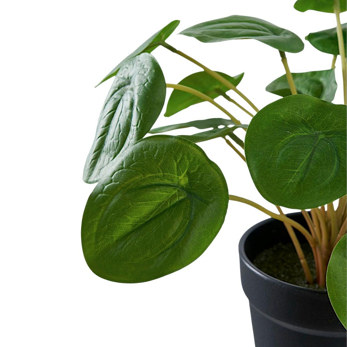 Plante artificielle pelia en pot vert, PIER IMPORT