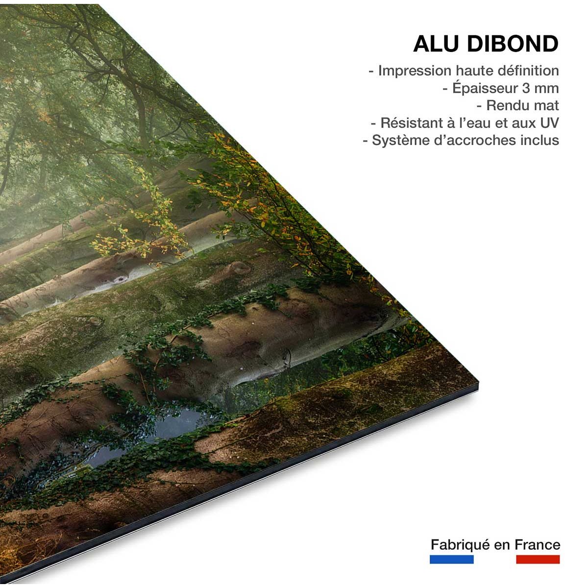 Tableau paysage sur le chemin tableau alu dibond, HEXOA